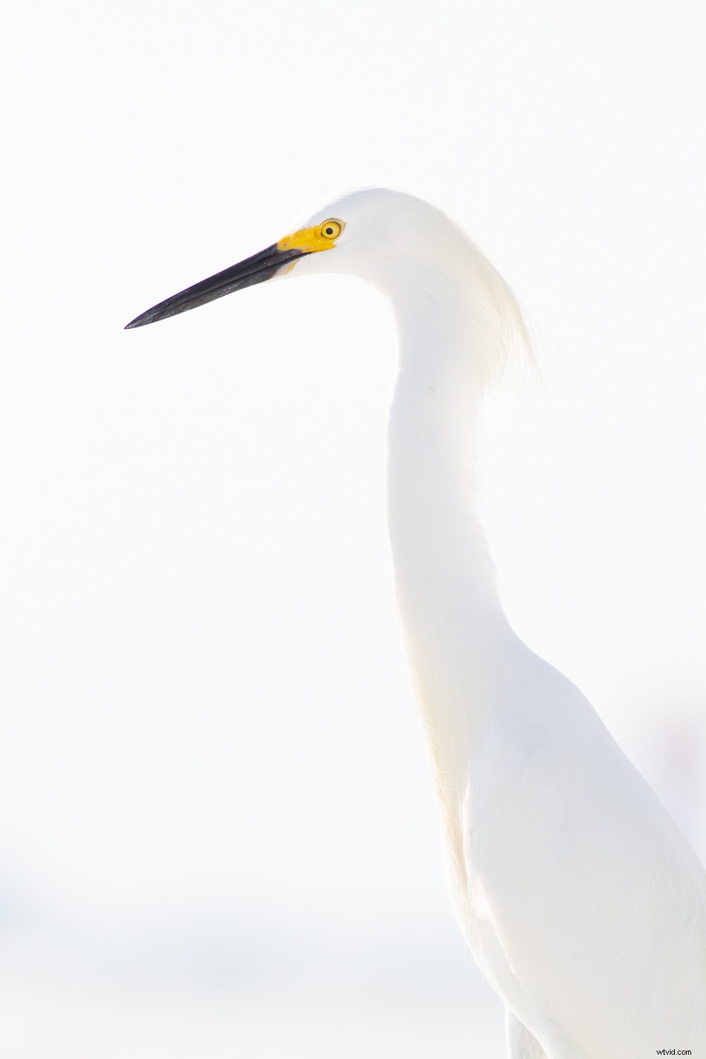 7 Proven Techniques for Capturing Stunning and Original Nature Photos