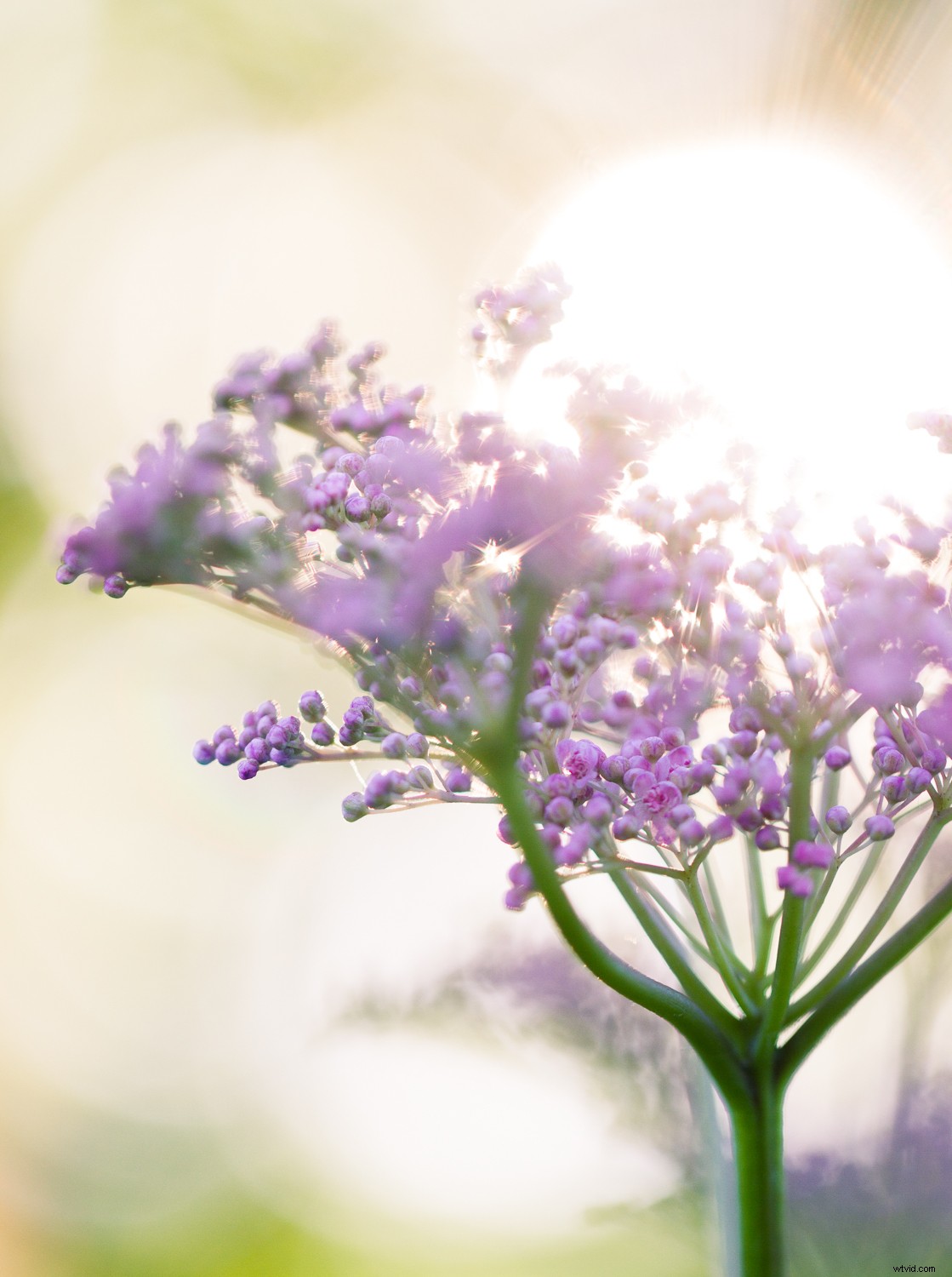 7 Proven Techniques for Capturing Stunning and Original Nature Photos