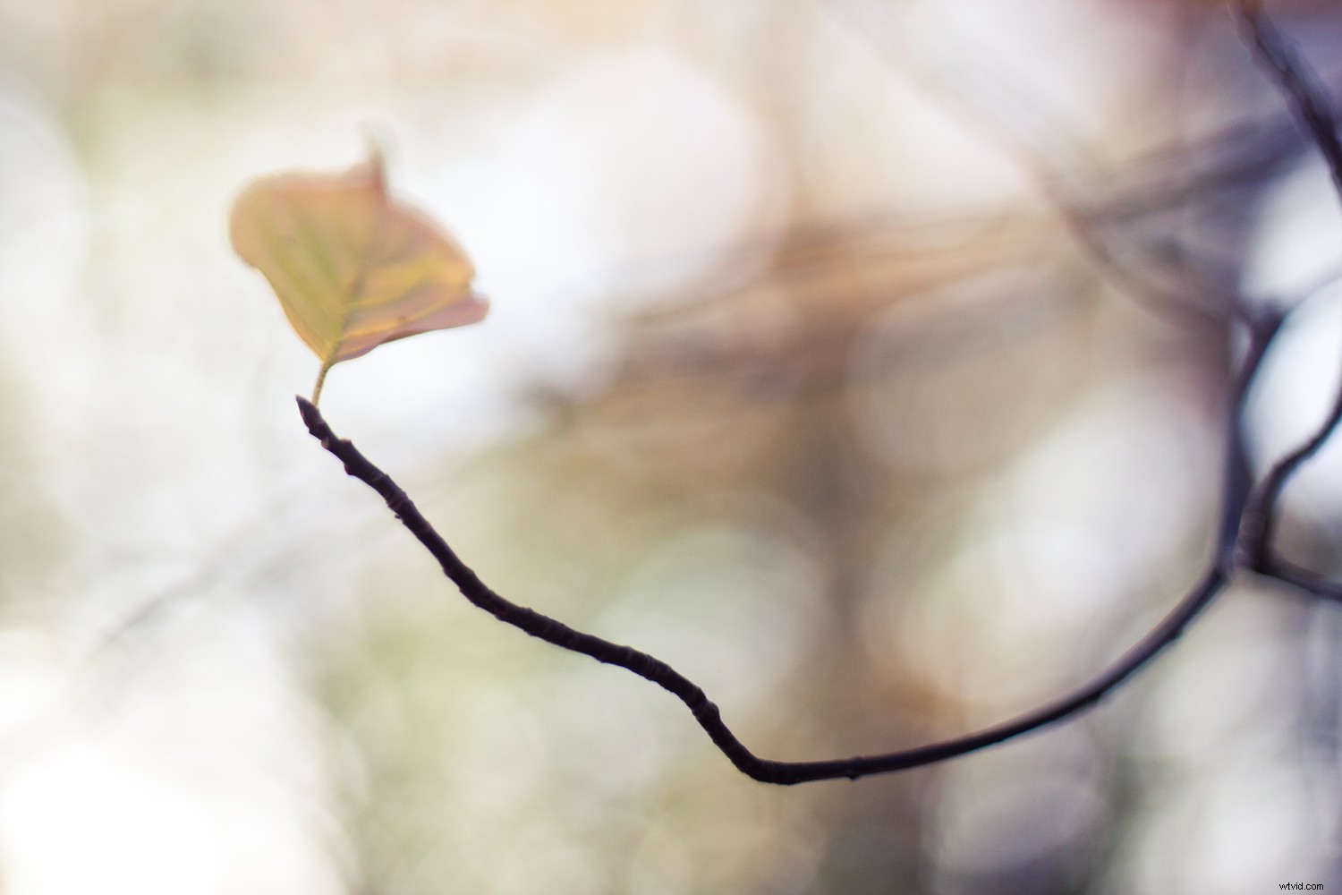 7 Proven Techniques for Capturing Stunning and Original Nature Photos