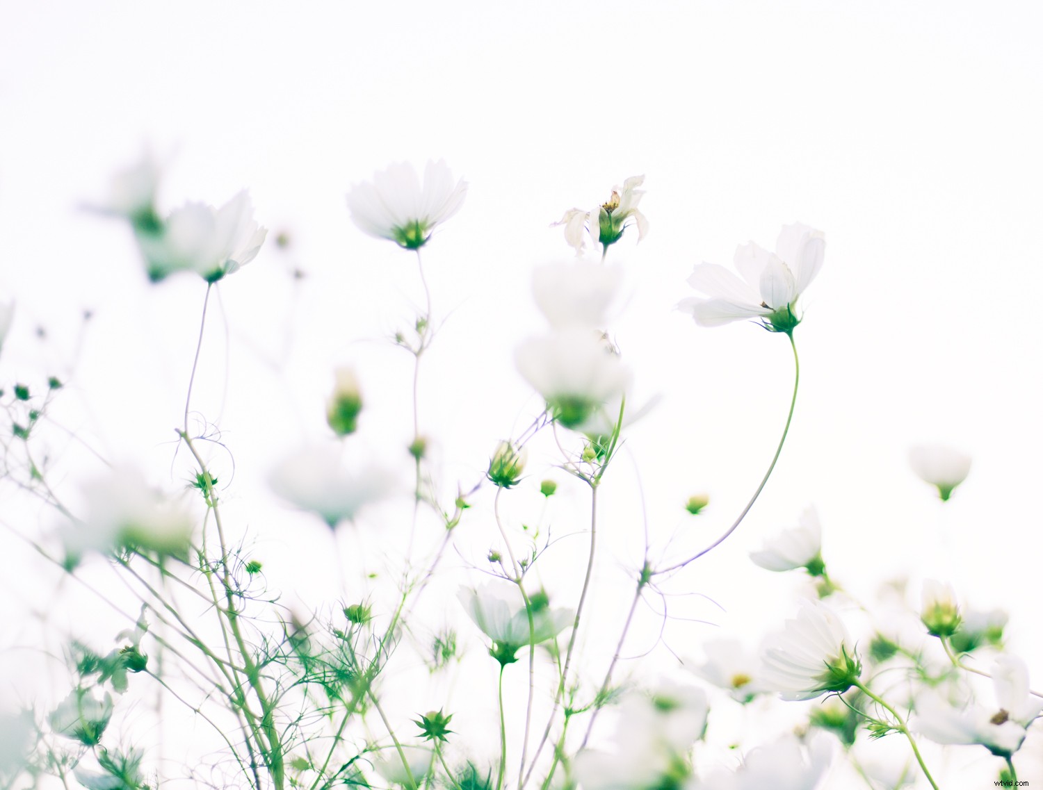 7 Proven Techniques for Capturing Stunning and Original Nature Photos