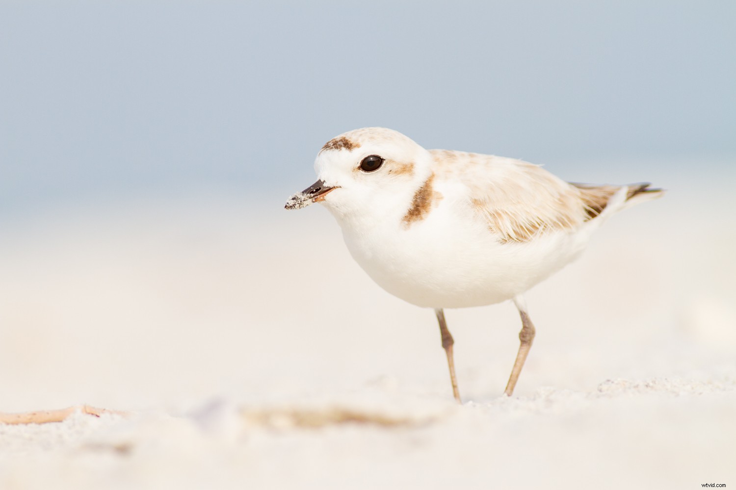 7 Proven Techniques for Capturing Stunning and Original Nature Photos