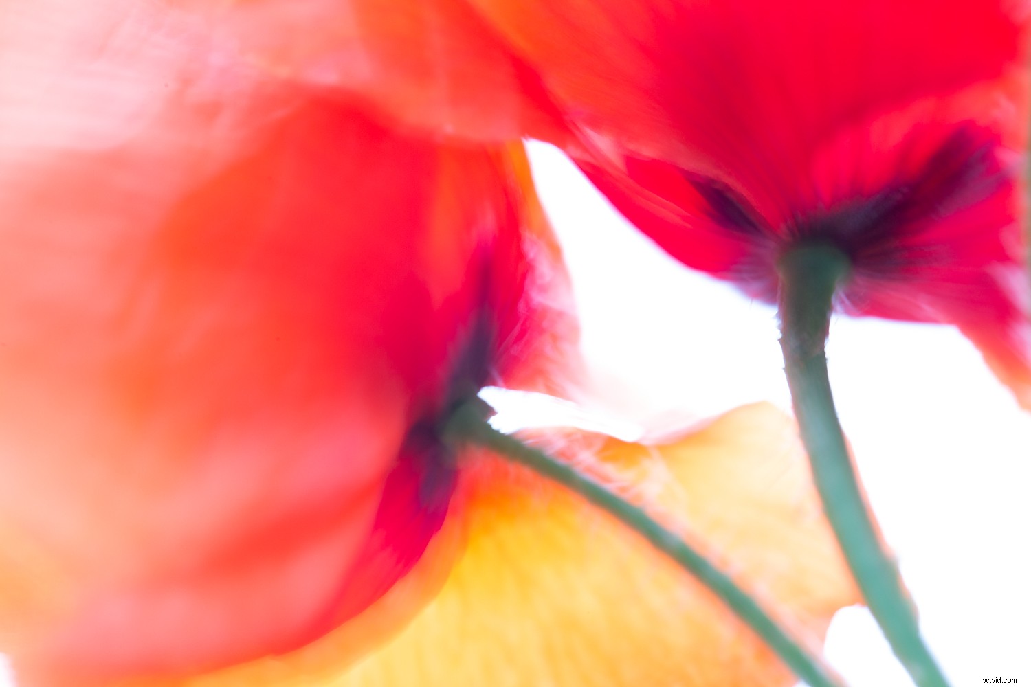 7 Proven Techniques for Capturing Stunning and Original Nature Photos