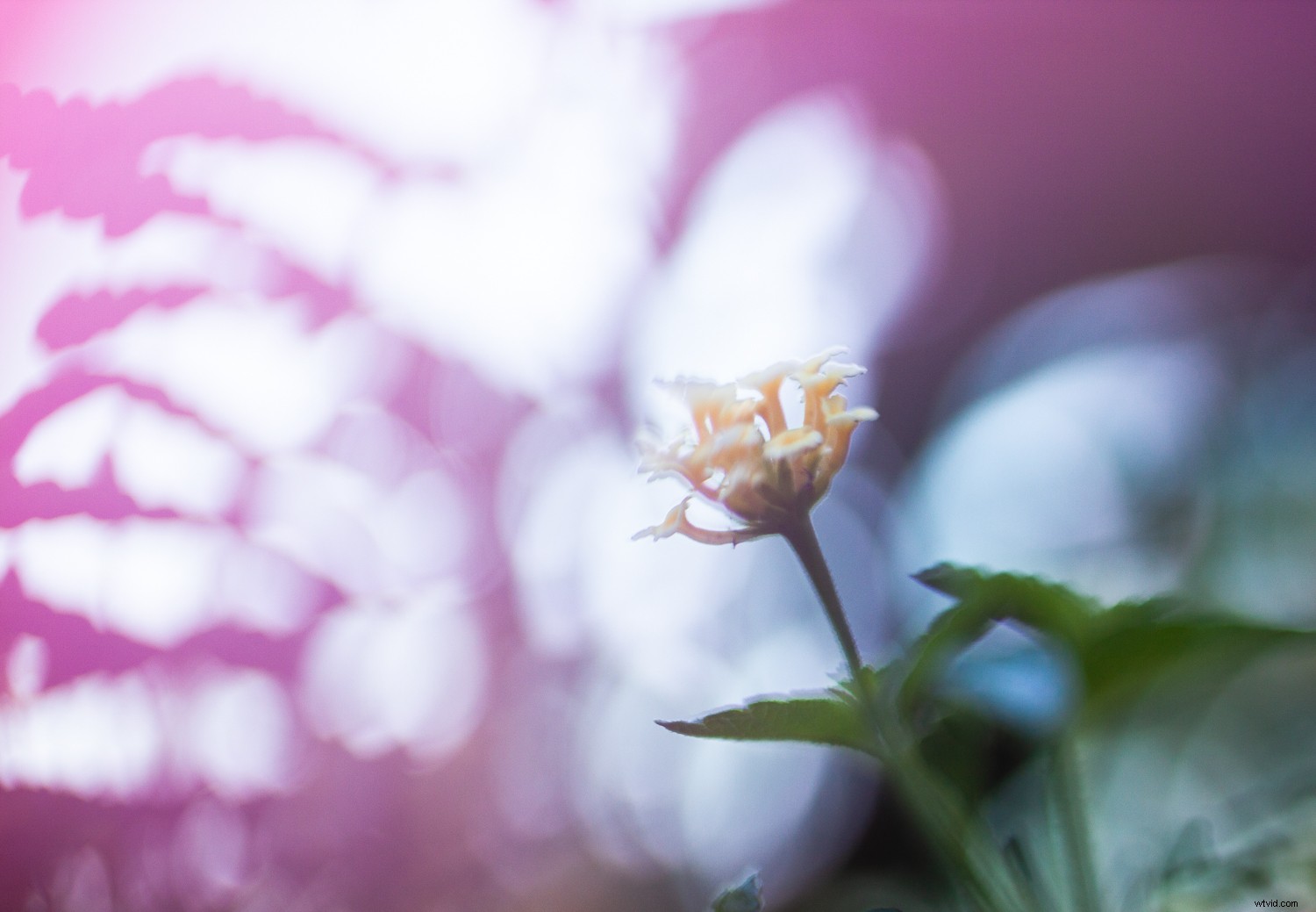 7 Proven Techniques for Capturing Stunning and Original Nature Photos