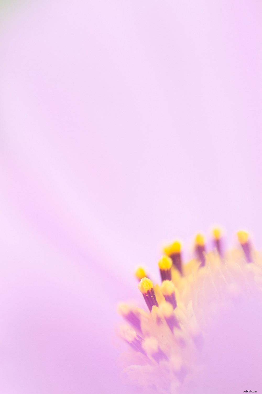 7 Proven Techniques for Capturing Stunning and Original Nature Photos