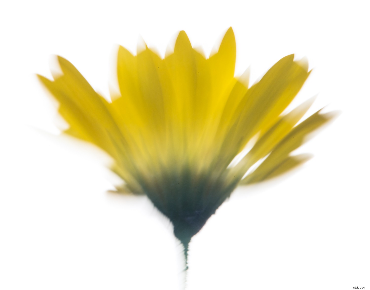 7 Proven Techniques for Capturing Stunning and Original Nature Photos