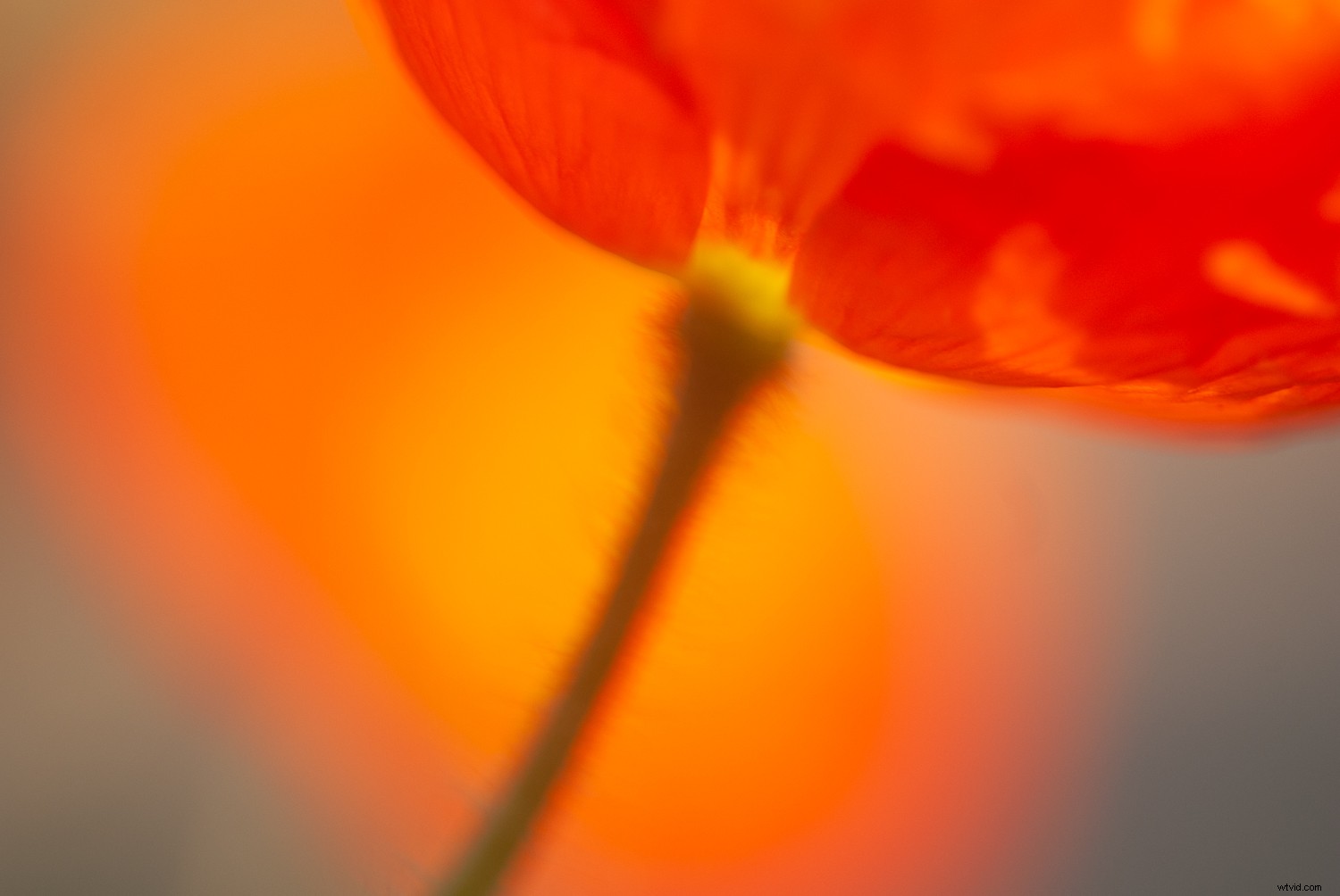 7 Proven Techniques for Capturing Stunning and Original Nature Photos