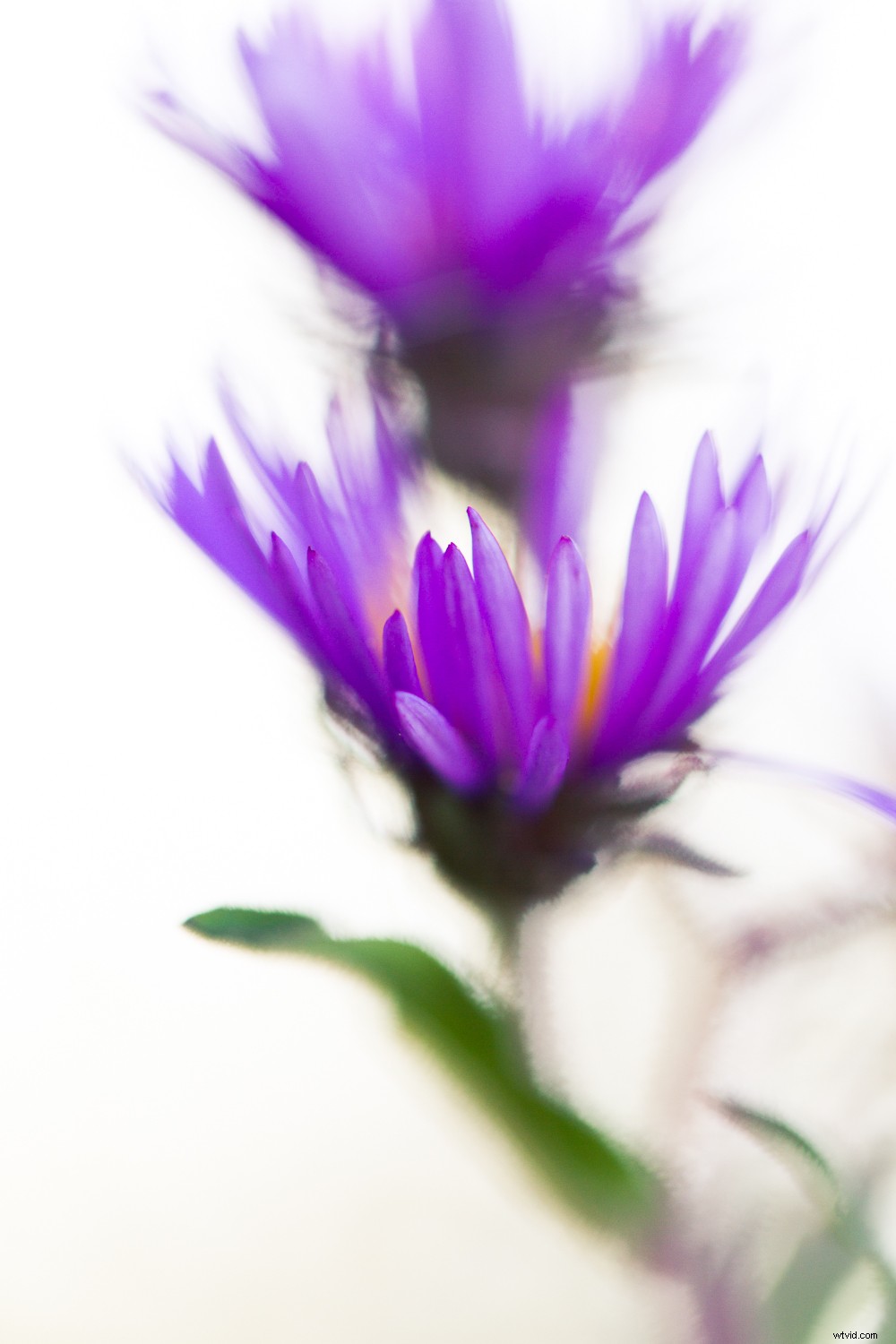 7 Proven Techniques for Capturing Stunning and Original Nature Photos