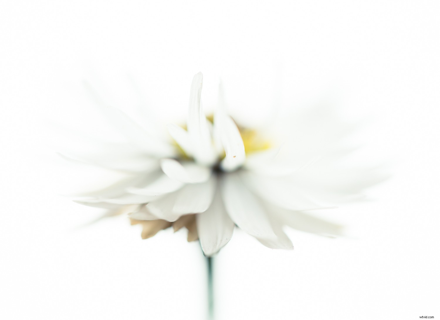 7 Proven Techniques for Capturing Stunning and Original Nature Photos