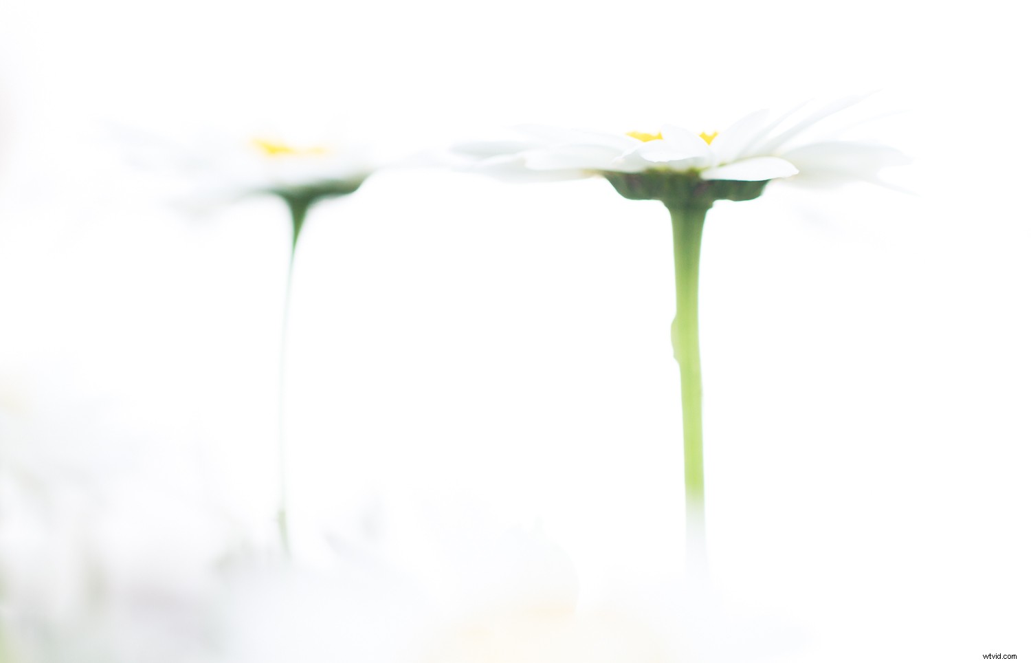 7 Proven Techniques for Capturing Stunning and Original Nature Photos