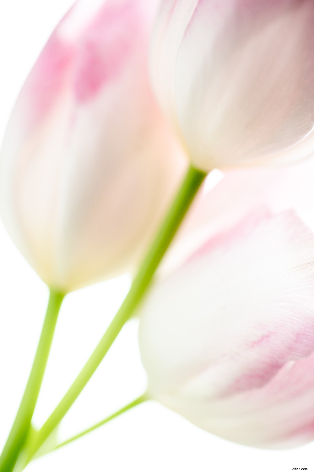 7 Proven Techniques for Capturing Stunning and Original Nature Photos