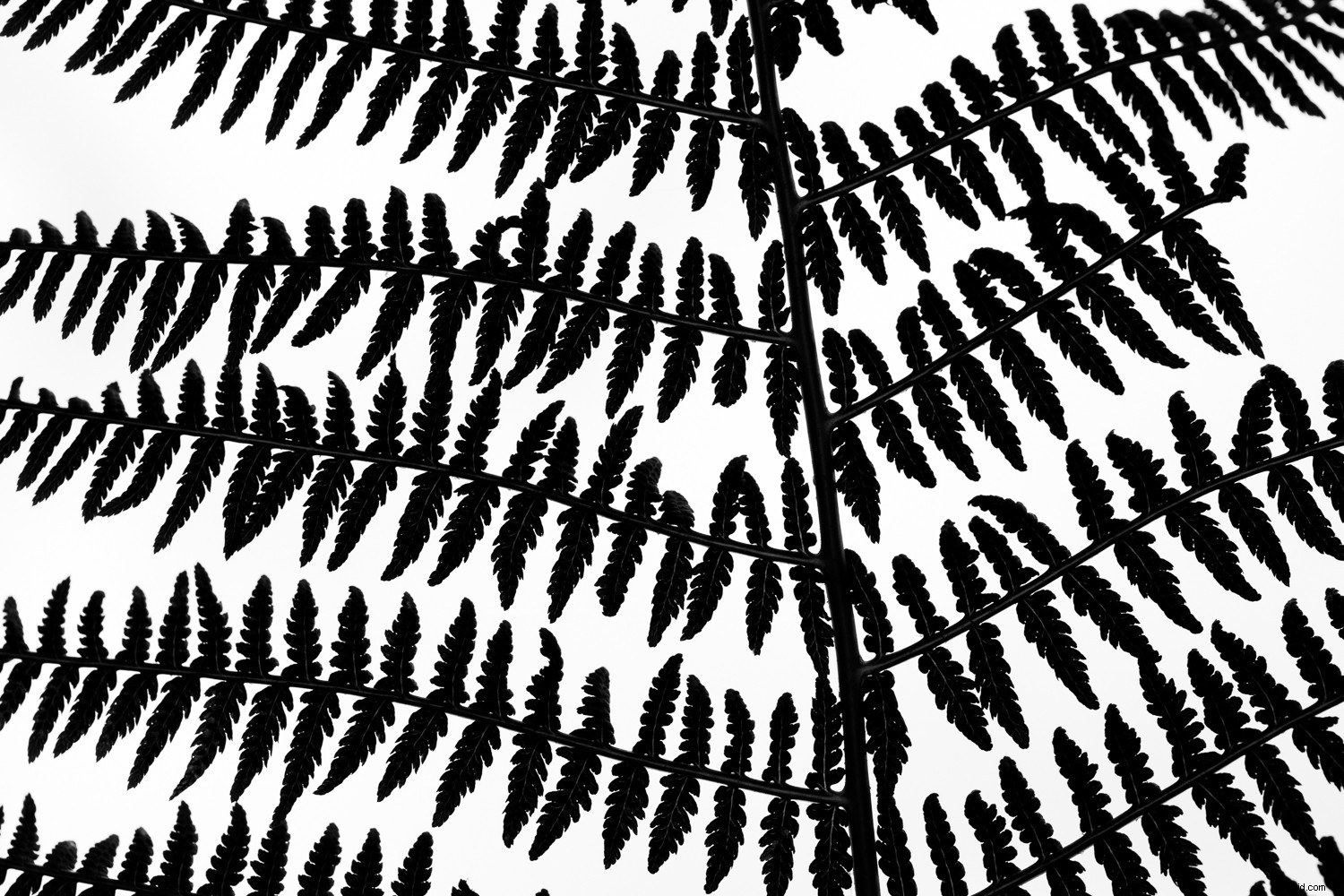 7 Proven Techniques for Capturing Stunning and Original Nature Photos