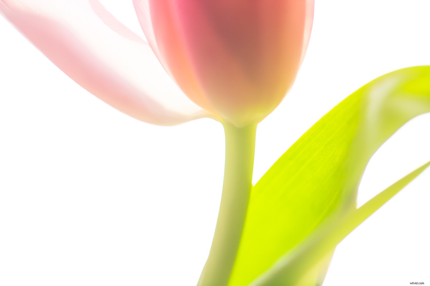 7 Proven Techniques for Capturing Stunning and Original Nature Photos