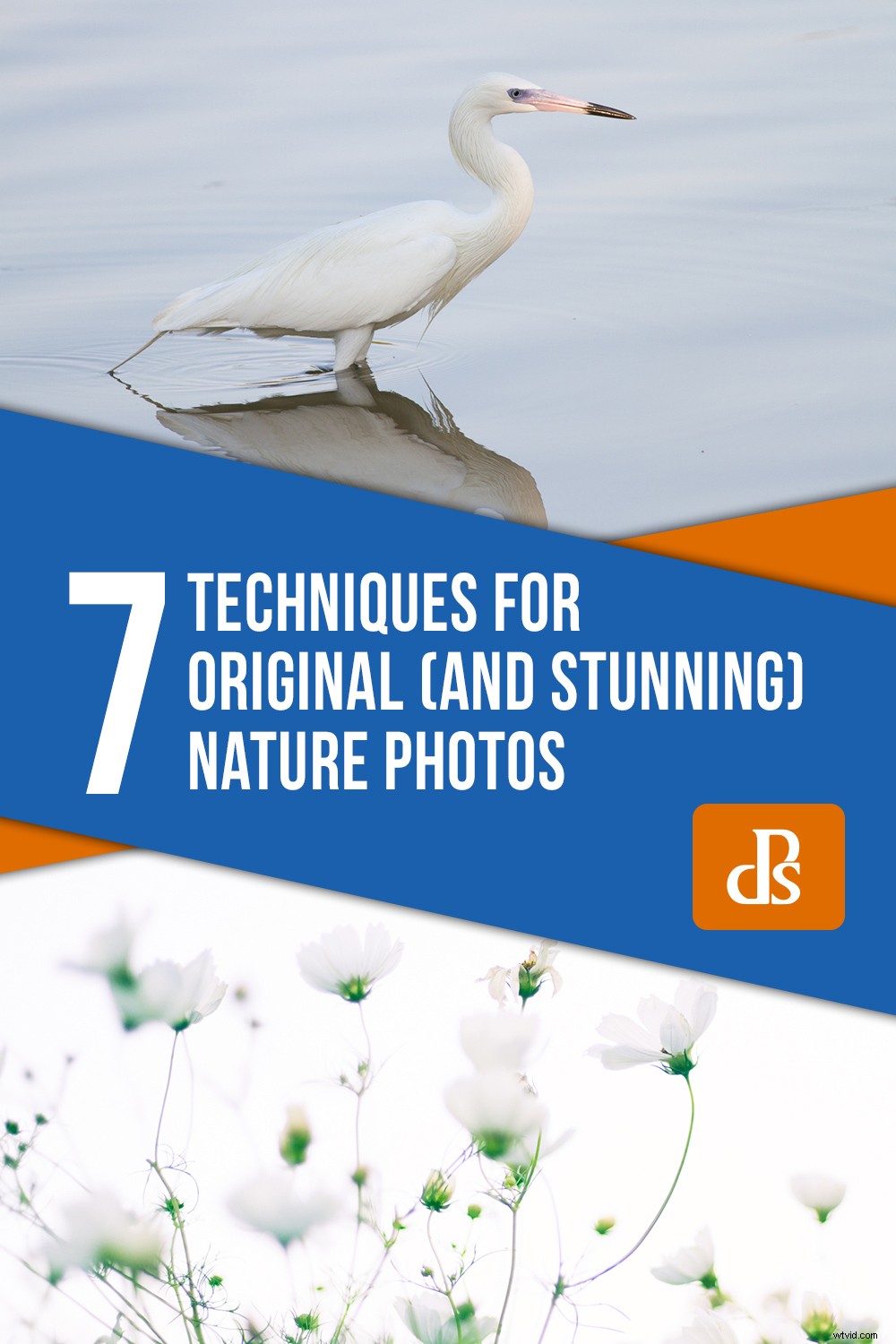 7 Proven Techniques for Capturing Stunning and Original Nature Photos