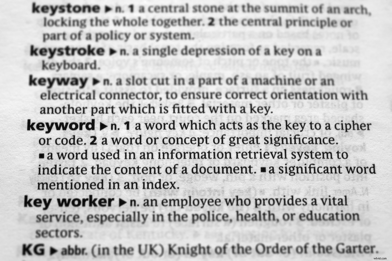 Top 3 Free or Low-Cost Photo Keywording Tools for Efficient Organization