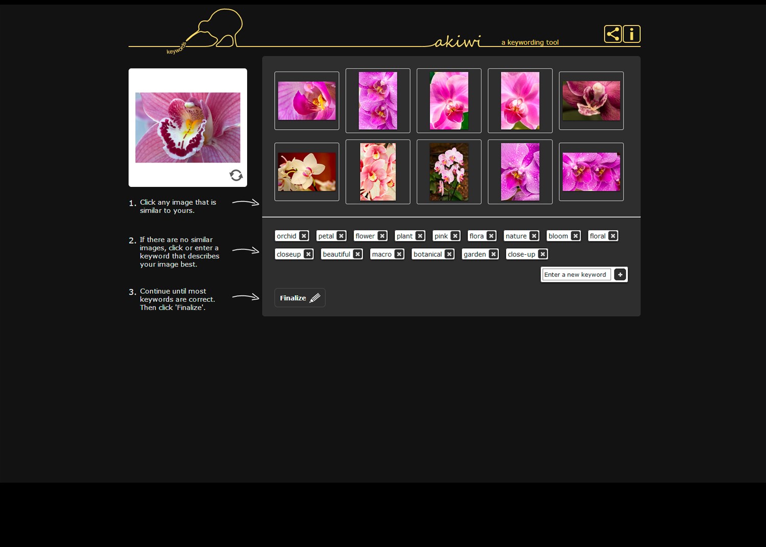 Top 3 Free or Low-Cost Photo Keywording Tools for Efficient Organization