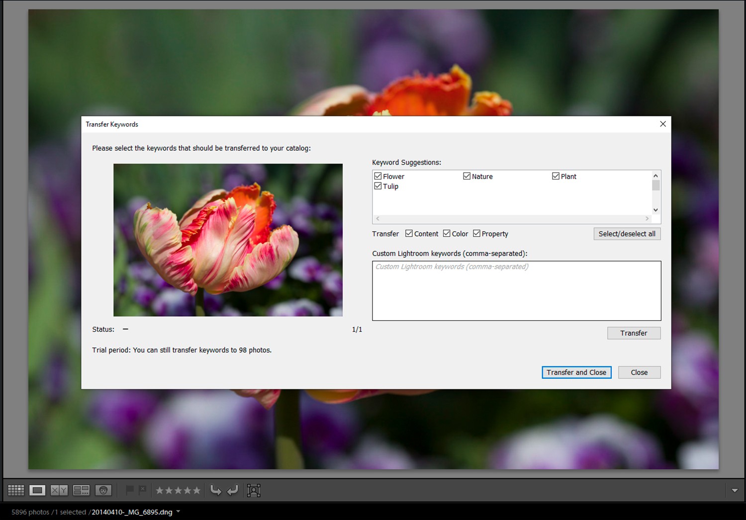 Top 3 Free or Low-Cost Photo Keywording Tools for Efficient Organization