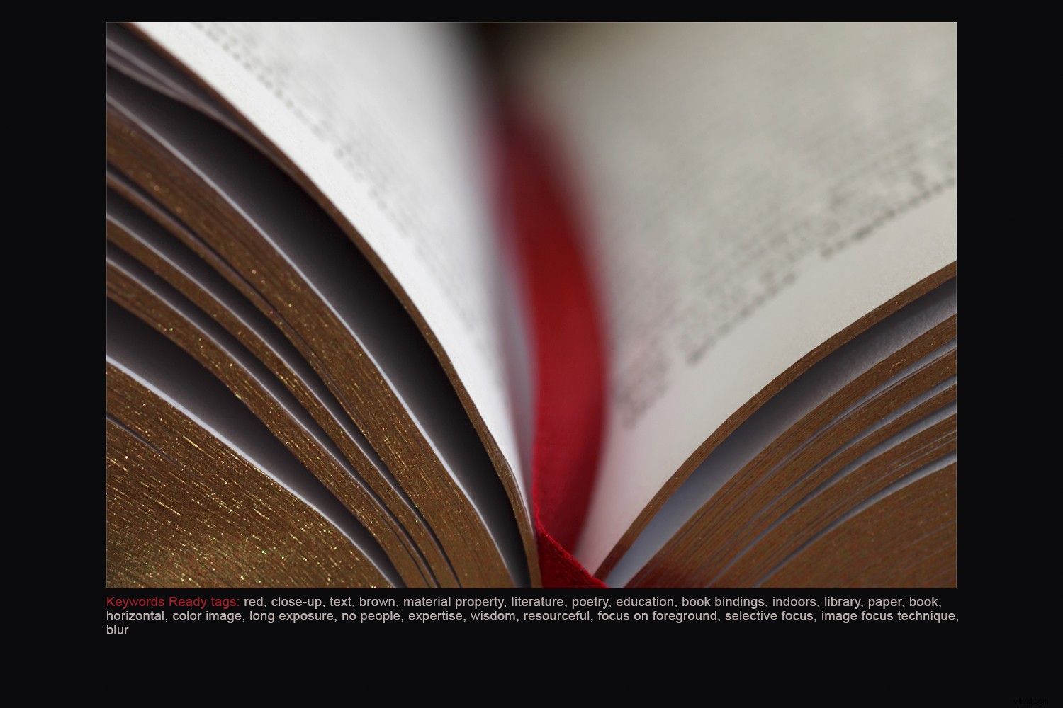 Top 3 Free or Low-Cost Photo Keywording Tools for Efficient Organization