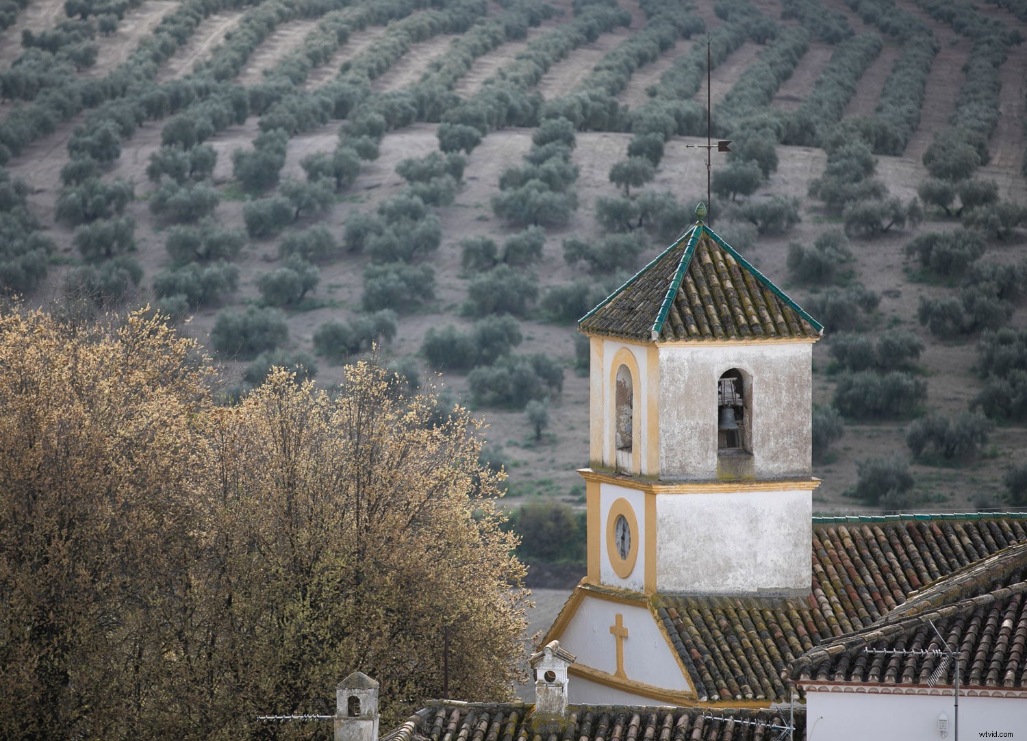 Streamline Your Photography Workflow: From Shooting to Professional Editing