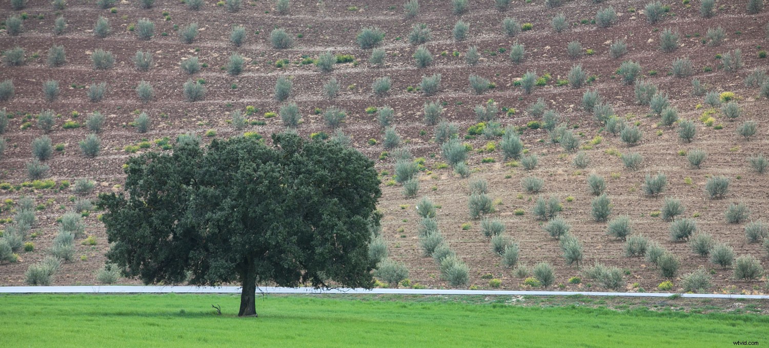 Streamline Your Photography Workflow: From Shooting to Professional Editing