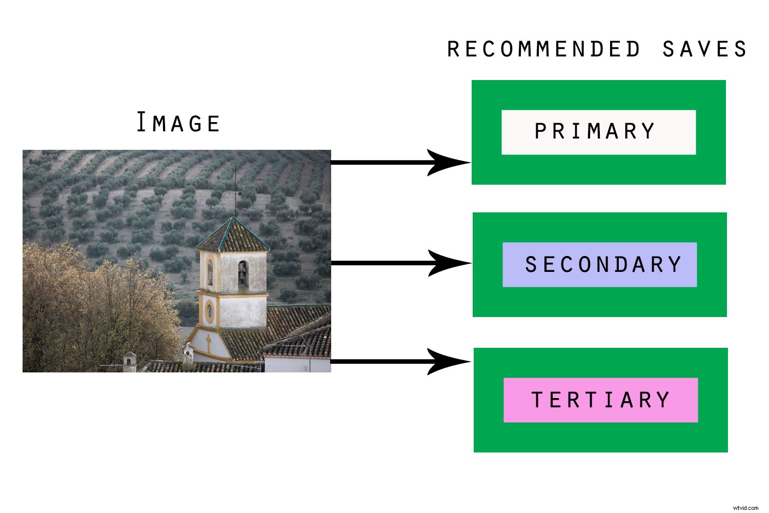 Streamline Your Photography Workflow: From Shooting to Professional Editing