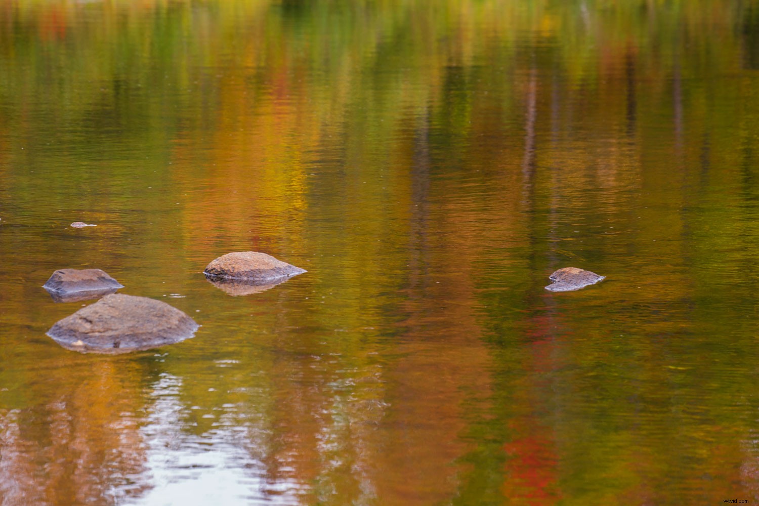 Streamline Your Photography Workflow: From Shooting to Professional Editing