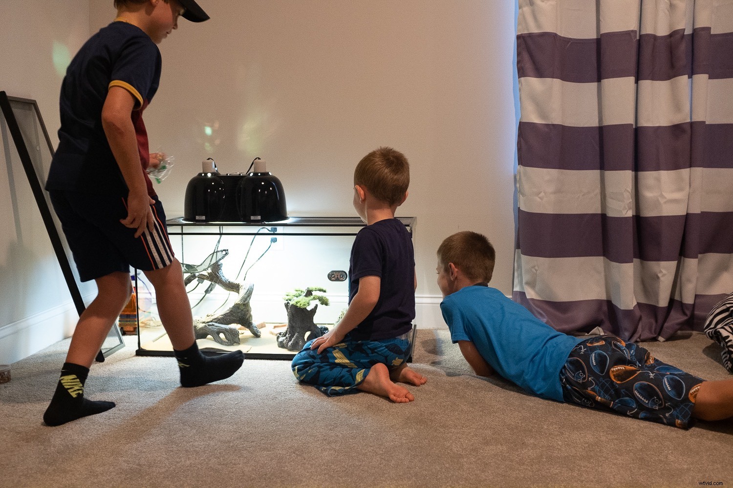 Is Cloud Photo Storage Safe? Uncovering the Hidden Risks and True Costs