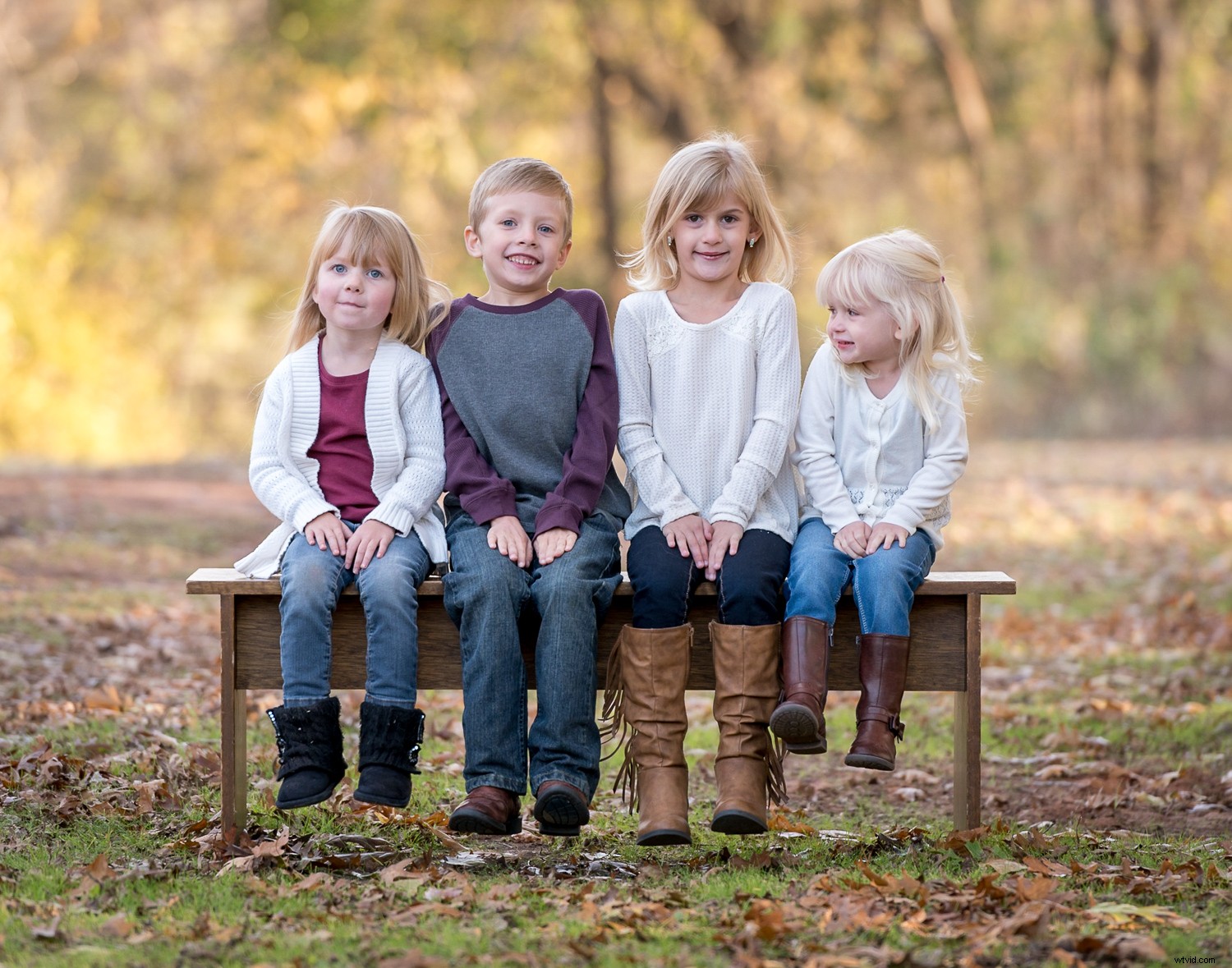 Is Cloud Photo Storage Safe? Uncovering the Hidden Risks and True Costs