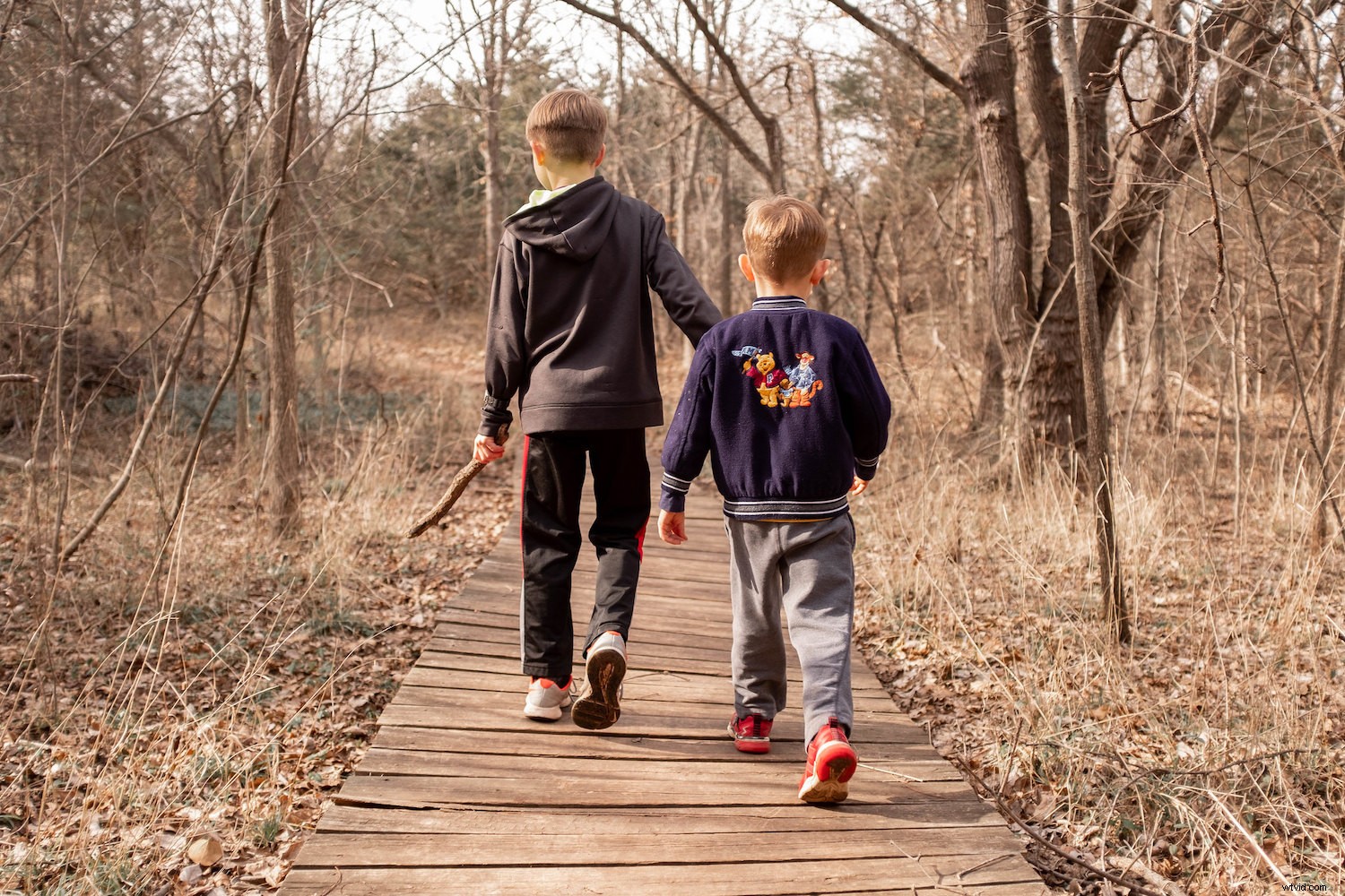 Is Cloud Photo Storage Safe? Uncovering the Hidden Risks and True Costs