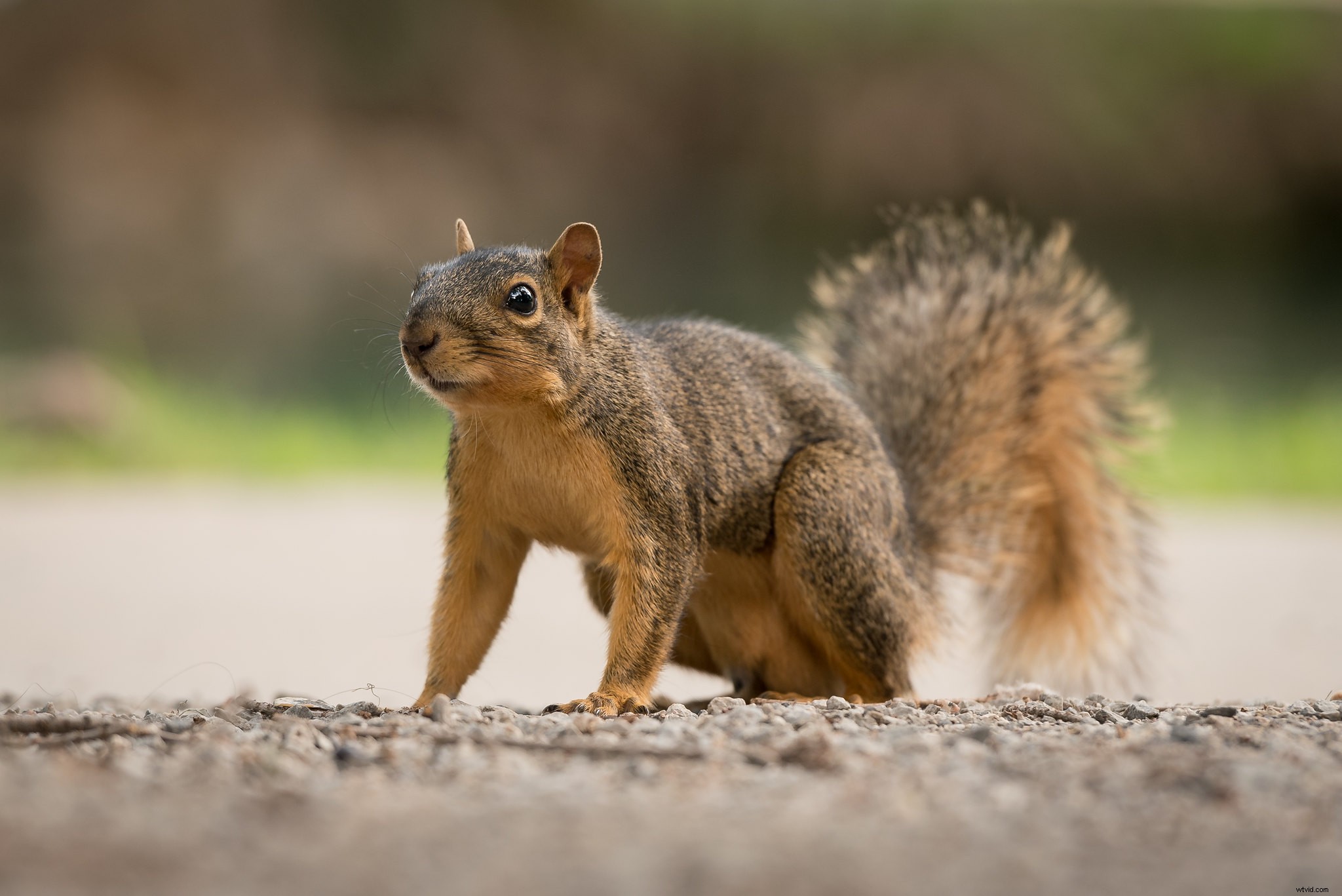 Is Cloud Photo Storage Safe? Uncovering the Hidden Risks and True Costs