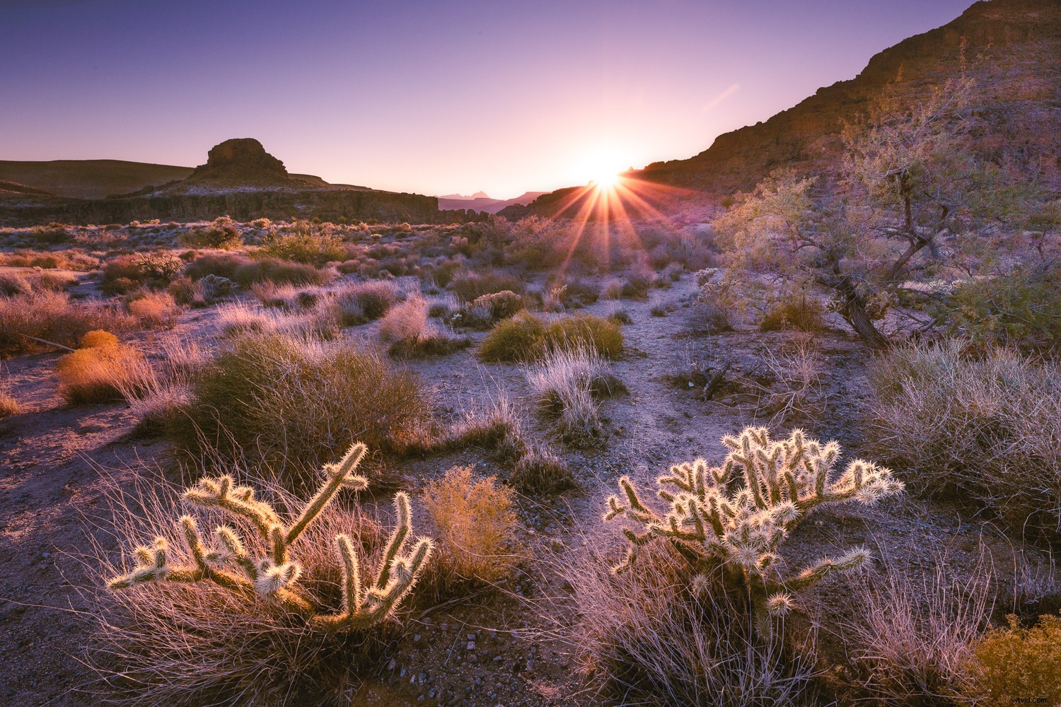 Shoot into the Sun Like a Pro: Easy Hack + Post-Processing Guide