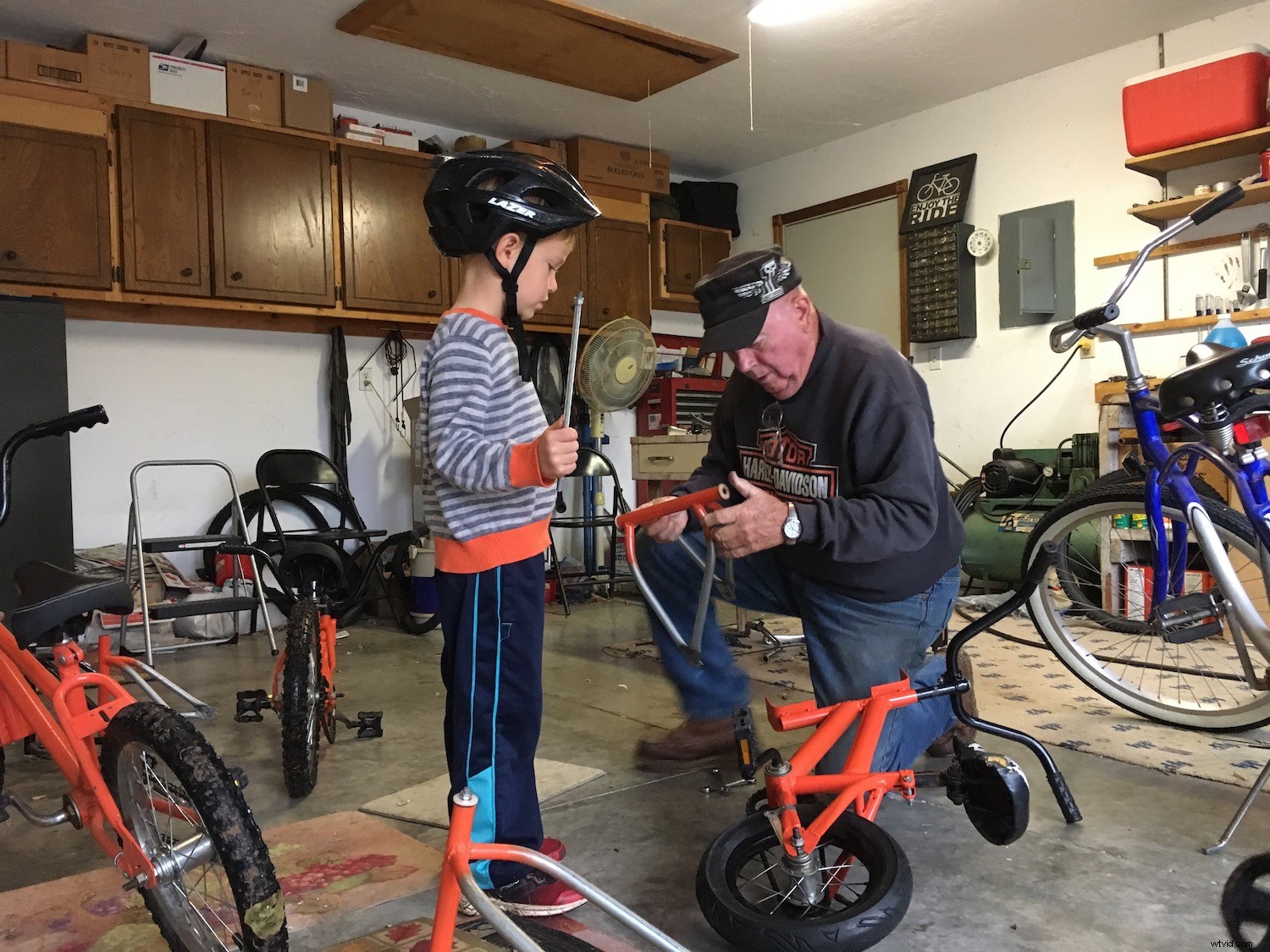 Expert Guide: Nurturing Your Child s Passion for Photography