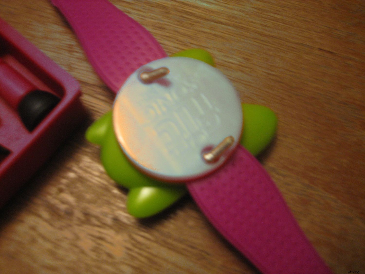 Expert Guide: Nurturing Your Child s Passion for Photography