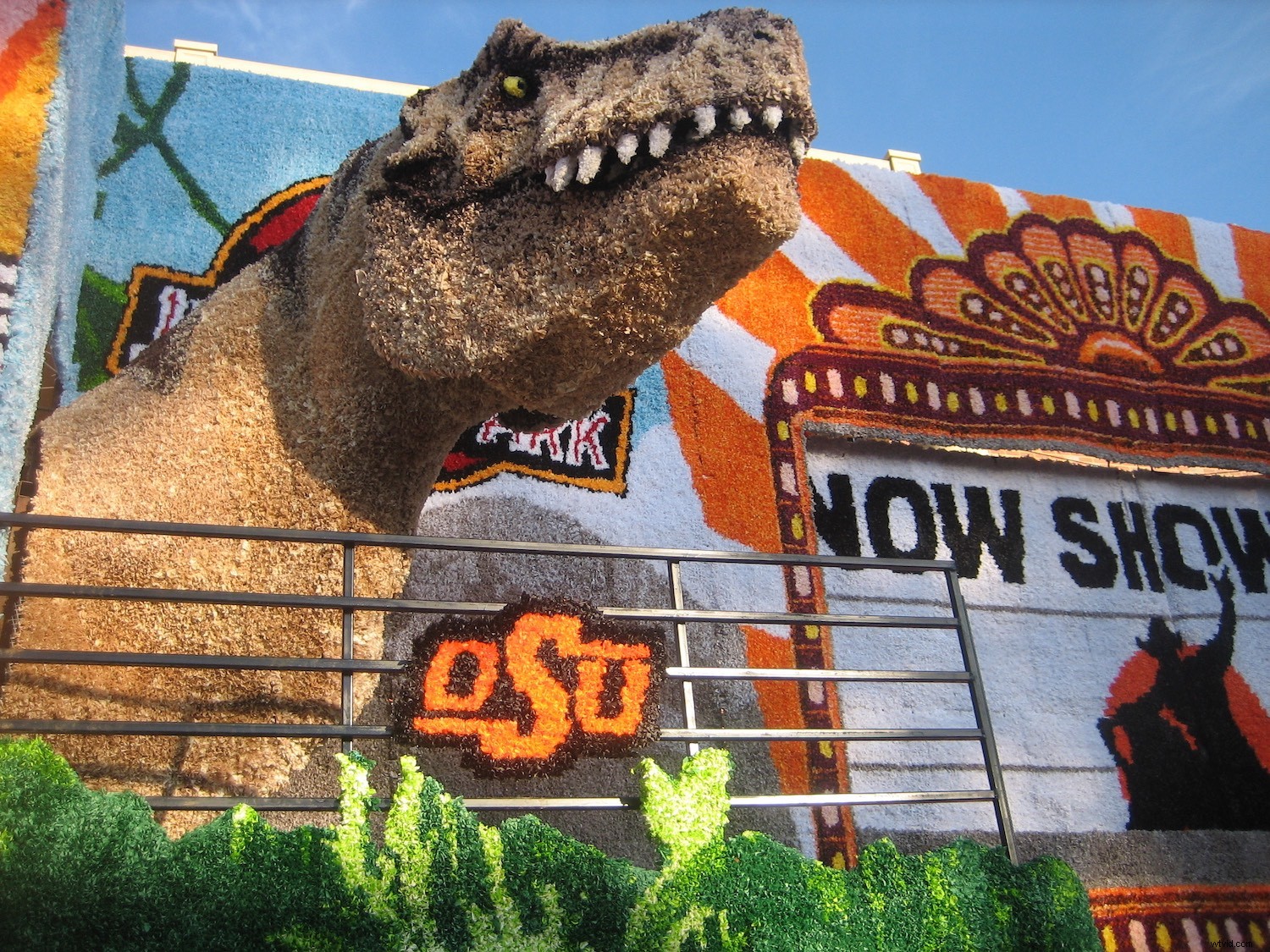 Expert Guide: Nurturing Your Child s Passion for Photography