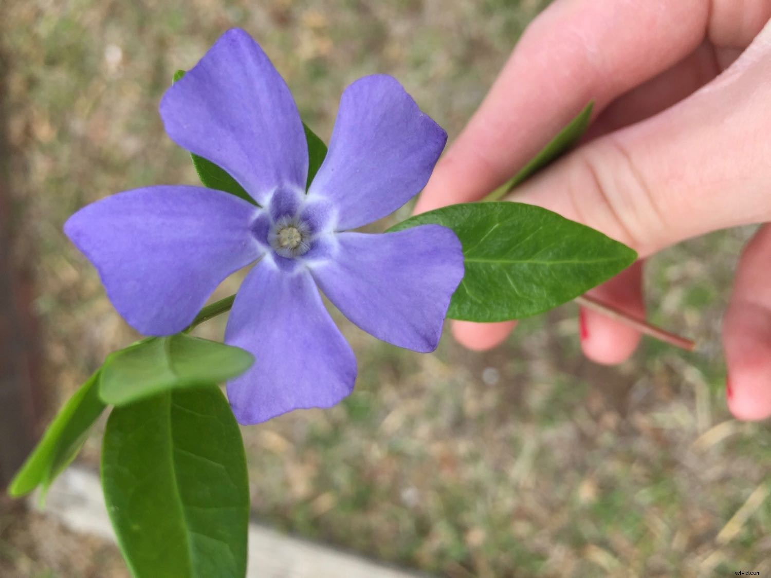 Expert Guide: Nurturing Your Child s Passion for Photography