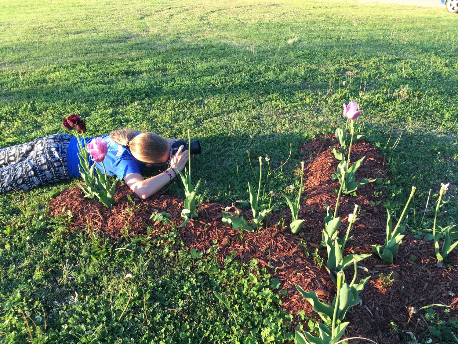 Expert Guide: Nurturing Your Child s Passion for Photography