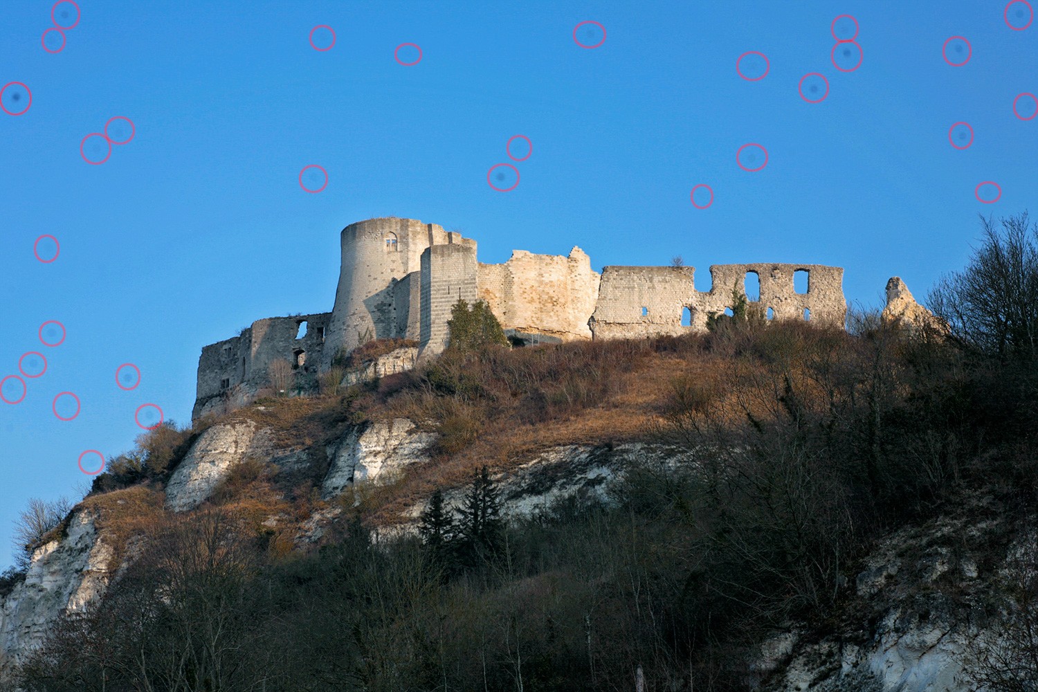 Early 2000s Digital Cameras: Hidden Secondhand Bargains or Obsolete Tech?