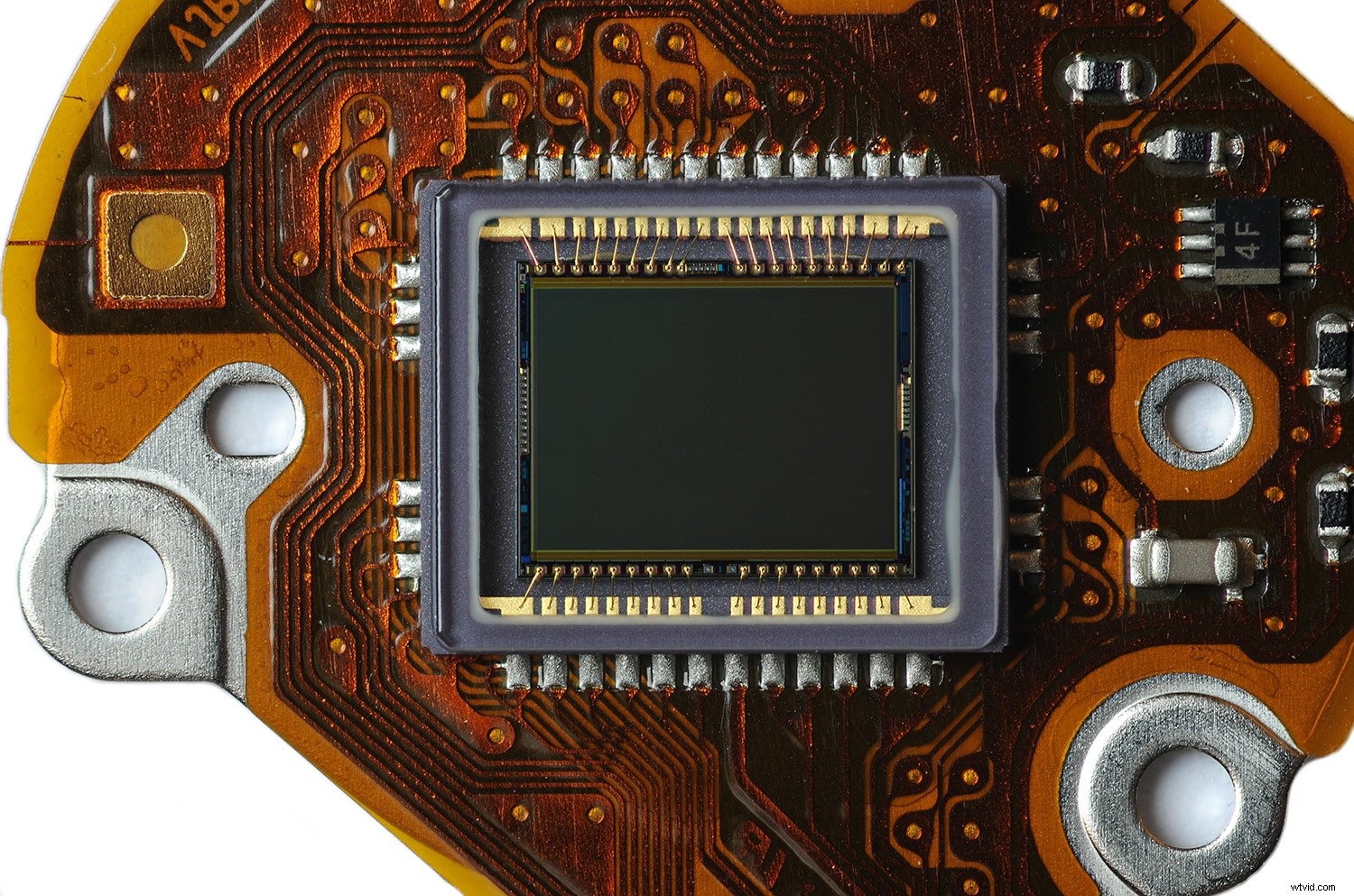 Early 2000s Digital Cameras: Hidden Secondhand Bargains or Obsolete Tech?