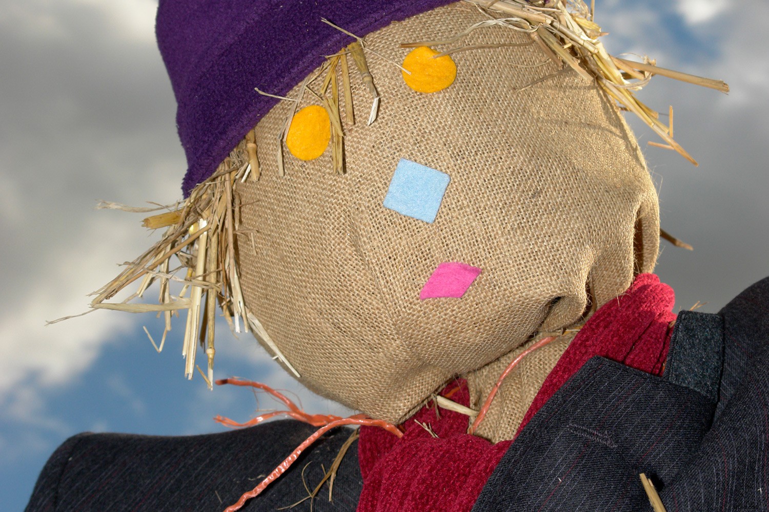 Early 2000s Digital Cameras: Hidden Secondhand Bargains or Obsolete Tech?