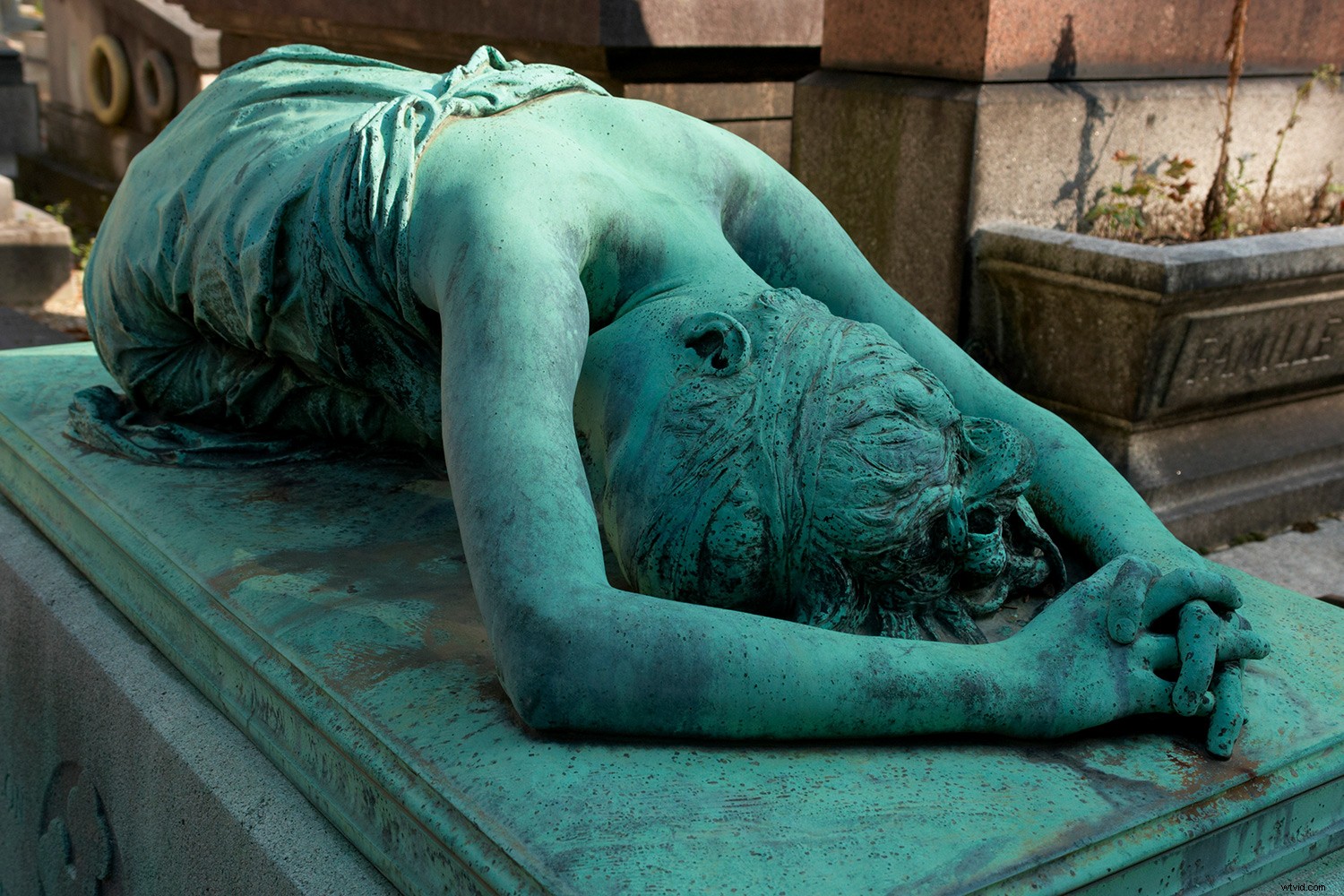 Early 2000s Digital Cameras: Hidden Secondhand Bargains or Obsolete Tech?