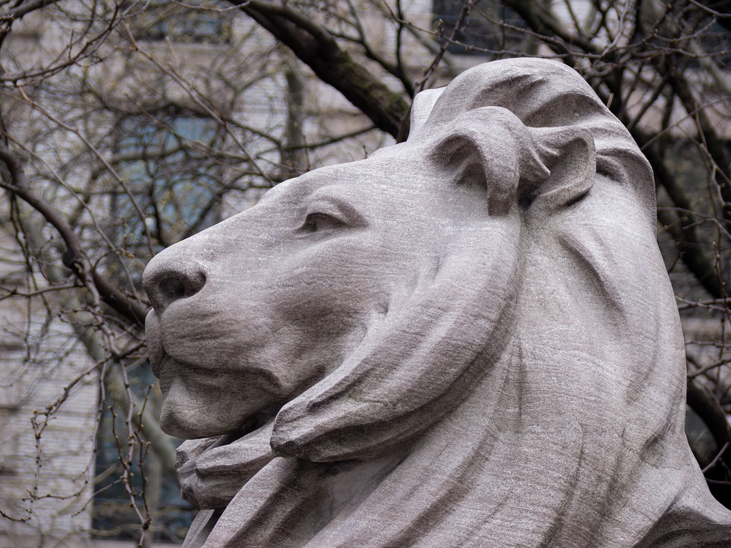 Early 2000s Digital Cameras: Hidden Secondhand Bargains or Obsolete Tech?