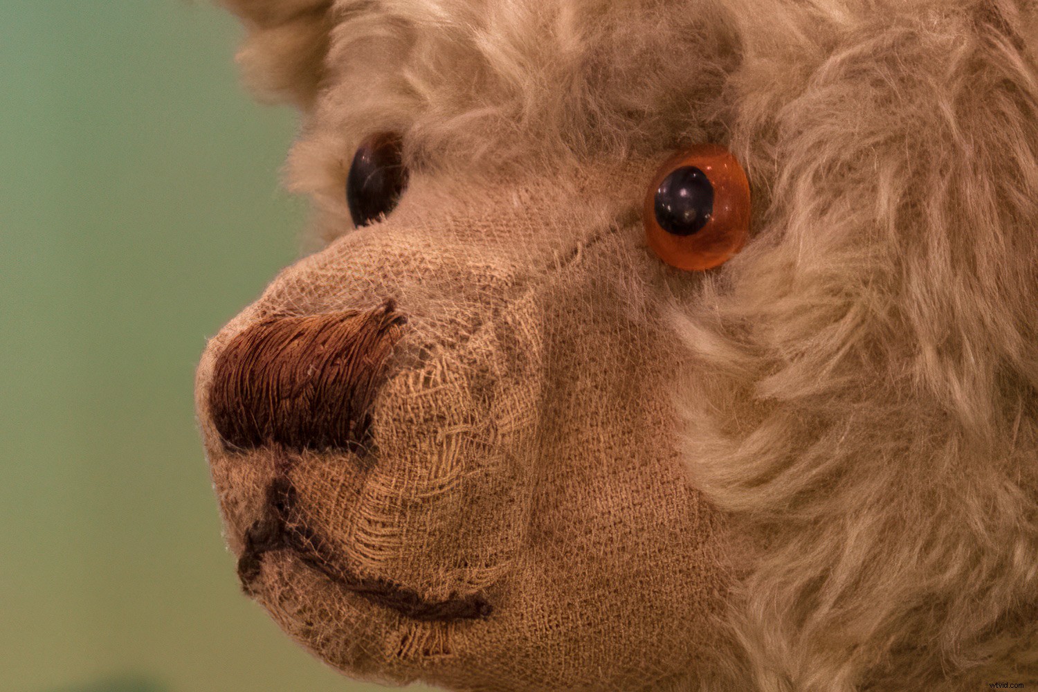 Early 2000s Digital Cameras: Hidden Secondhand Bargains or Obsolete Tech?