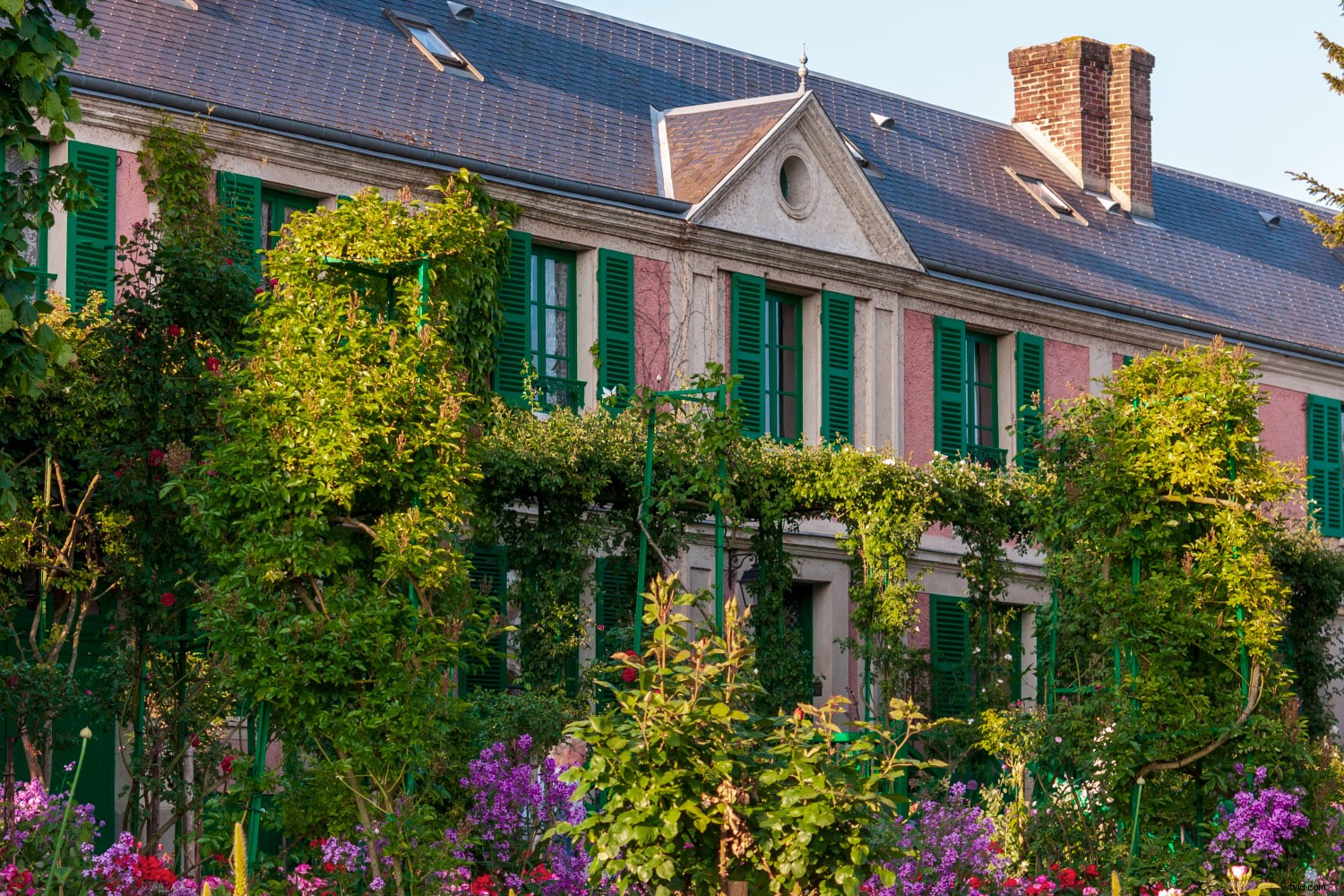 Early 2000s Digital Cameras: Hidden Secondhand Bargains or Obsolete Tech?