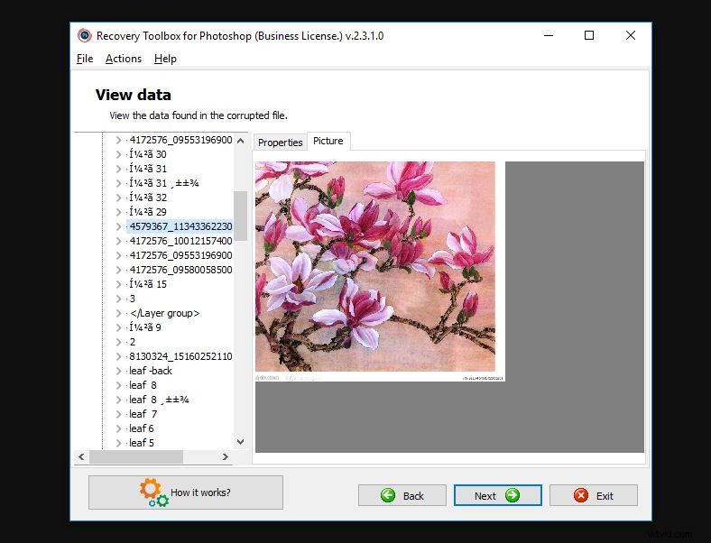 Recovery Toolbox for Photoshop: Effortlessly Repair and Restore Corrupted PSD Files