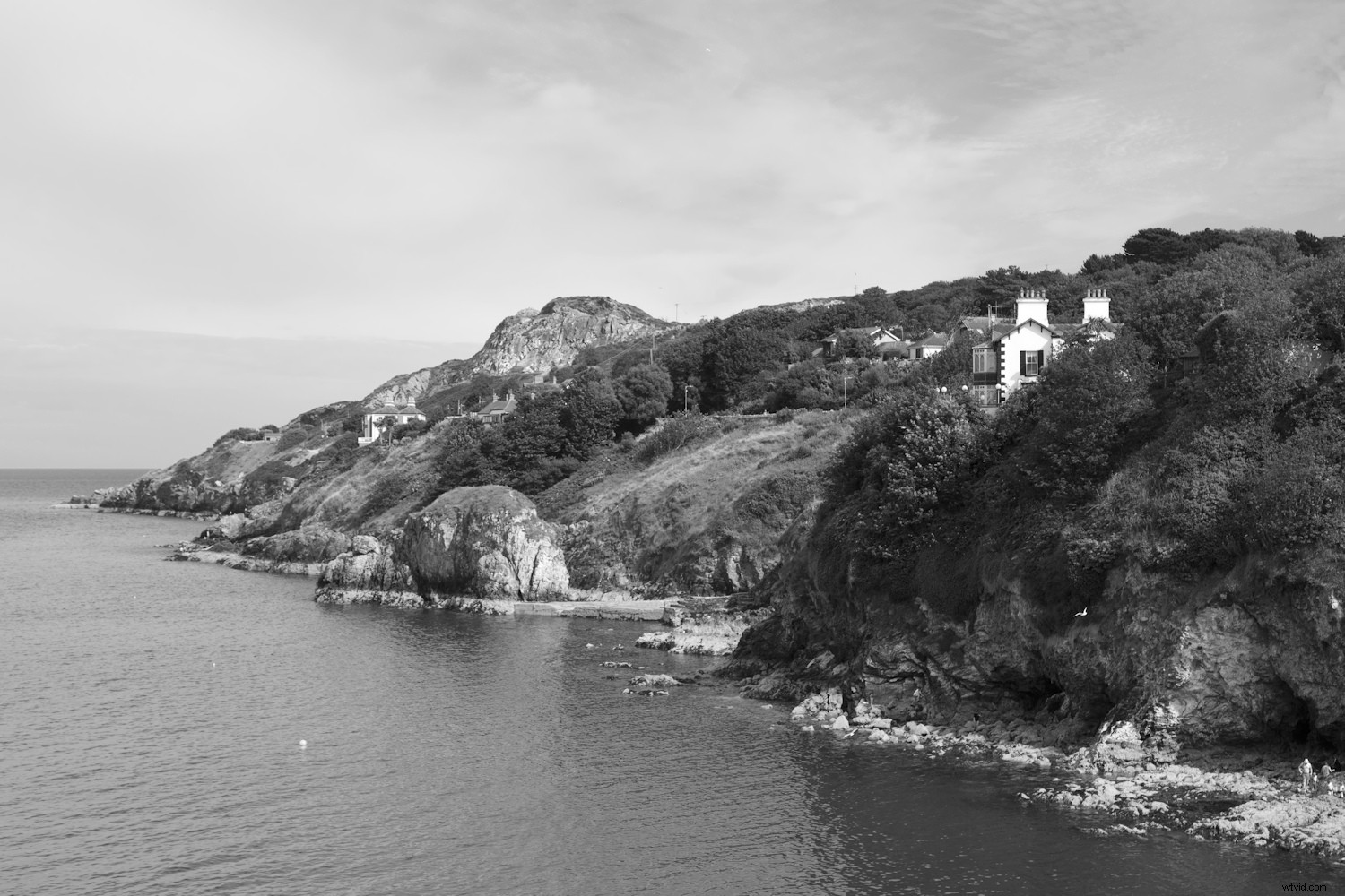 Corel PaintShop Pro 2020 Ultimate Review: A Powerful Photoshop Alternative?