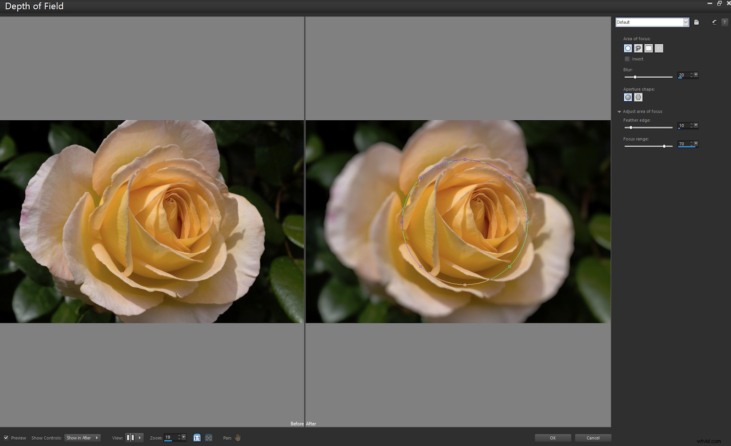 Corel PaintShop Pro 2020 Ultimate Review: A Powerful Photoshop Alternative?