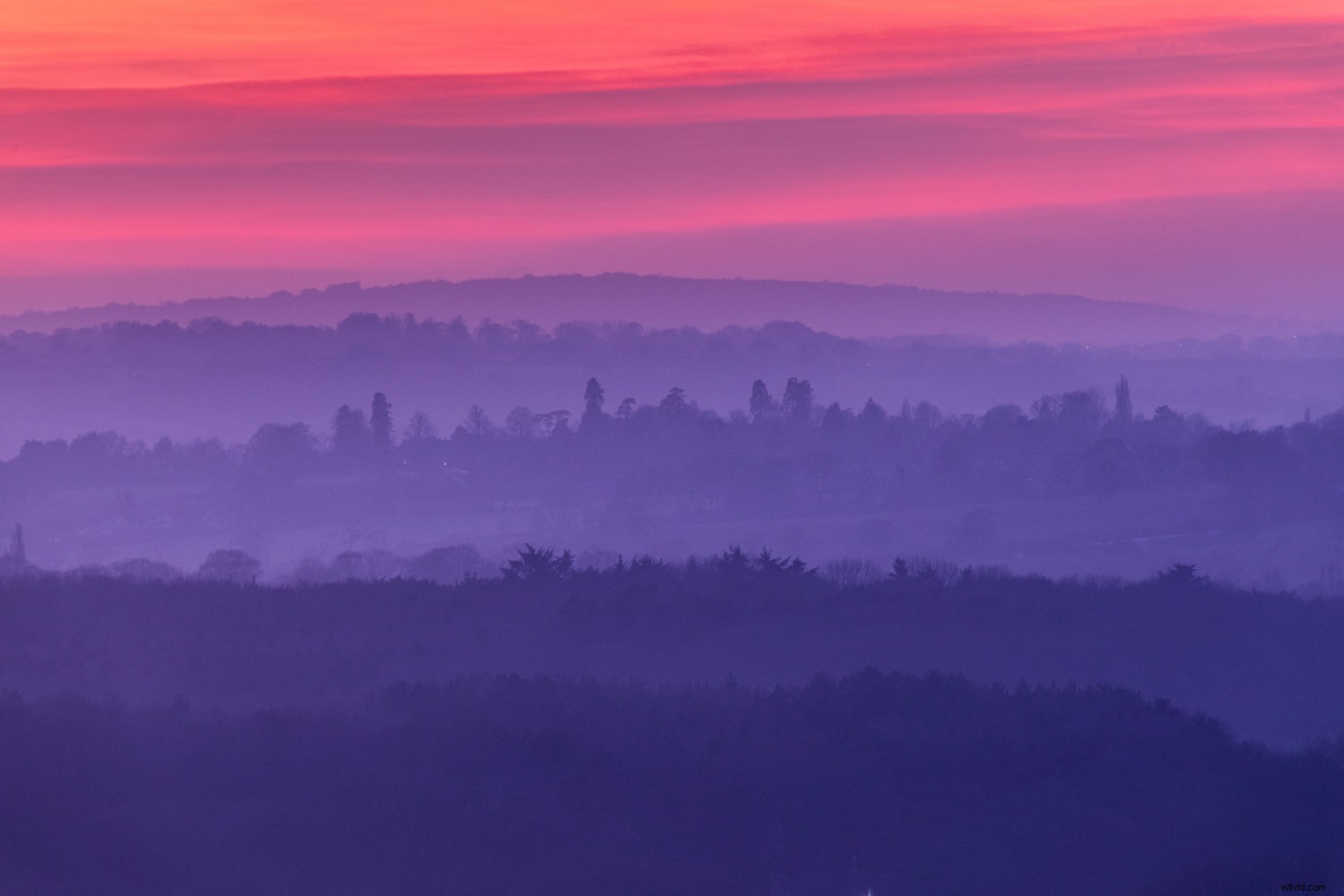 Master Color in Photography: Unlock the Wow Factor in Every Shot