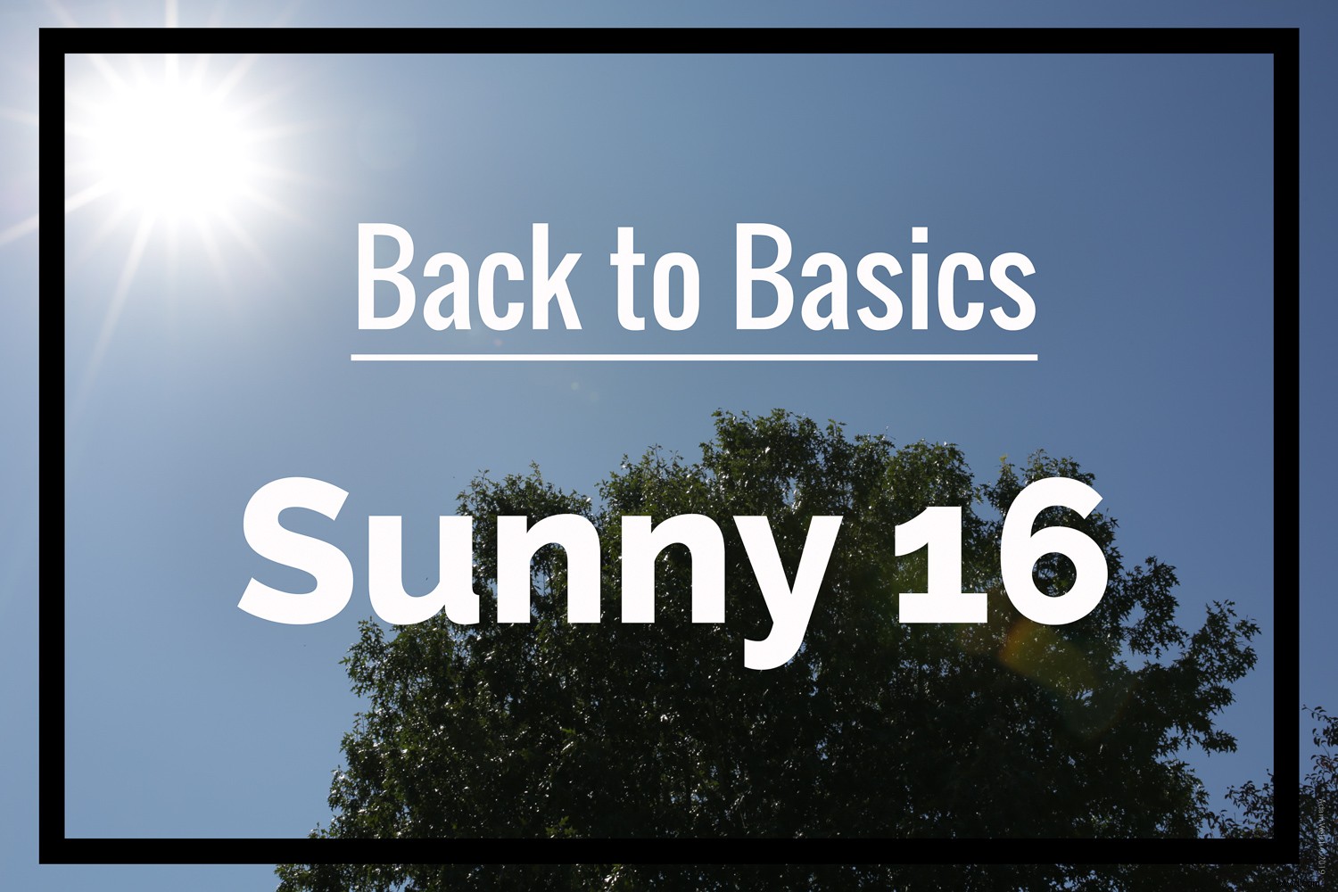 Master the Sunny 16 Rule: Essential Guide to Perfect Exposure in Photography