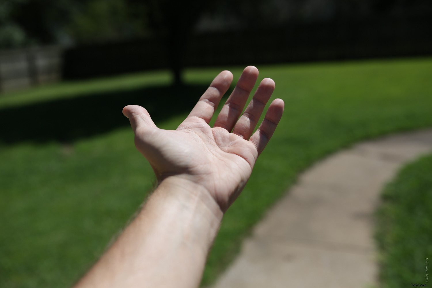 Master the Sunny 16 Rule: Essential Guide to Perfect Exposure in Photography