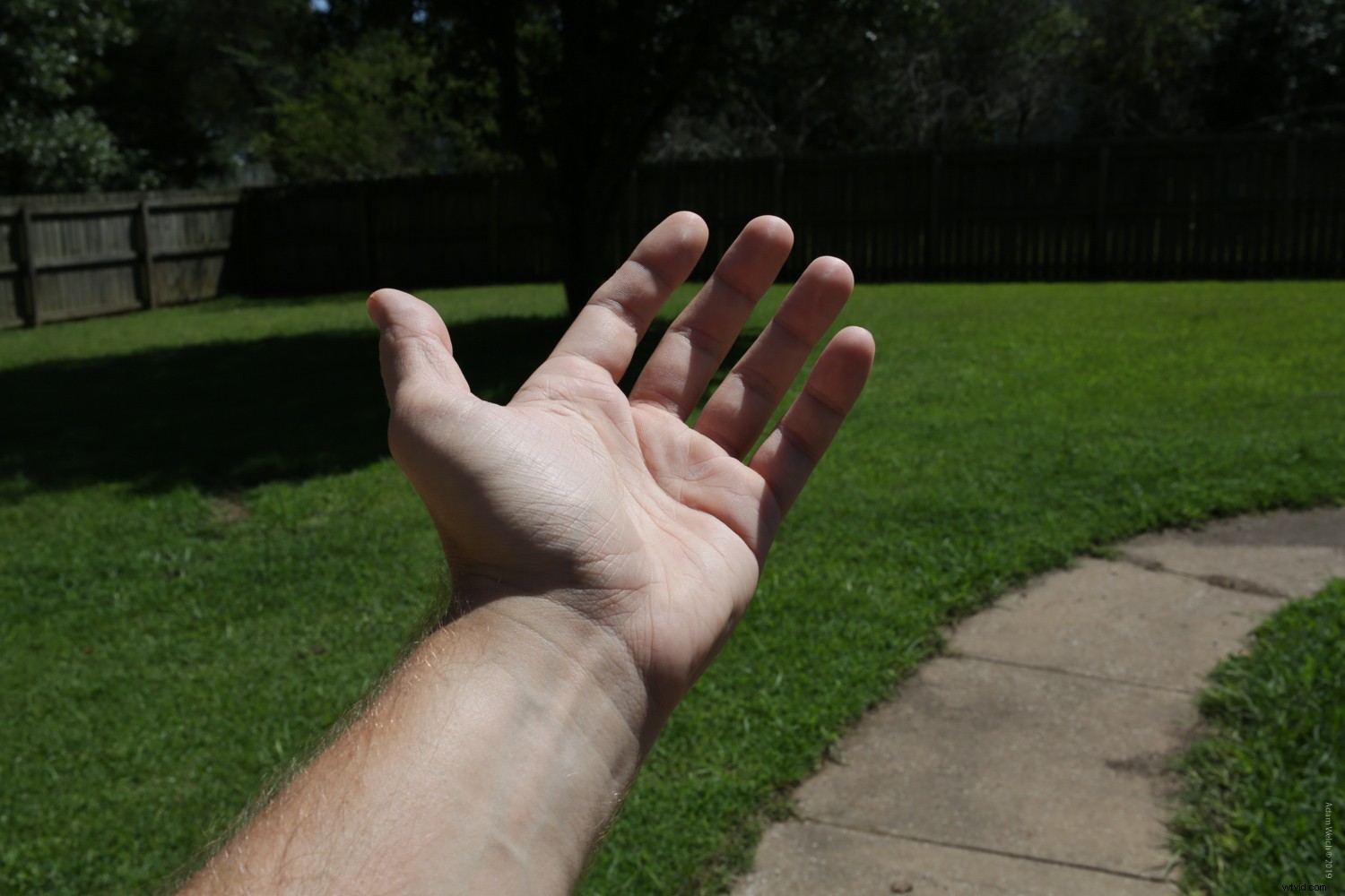 Master the Sunny 16 Rule: Essential Guide to Perfect Exposure in Photography