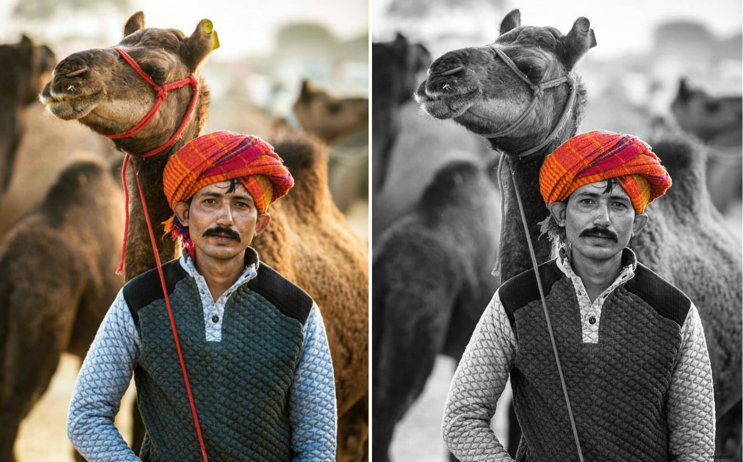 5 Photo Editing Mistakes I Made as a Beginner (And How to Avoid Them)